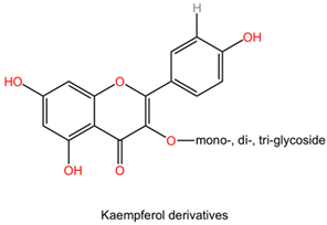 Pharmaceuticals 17 01339 i015