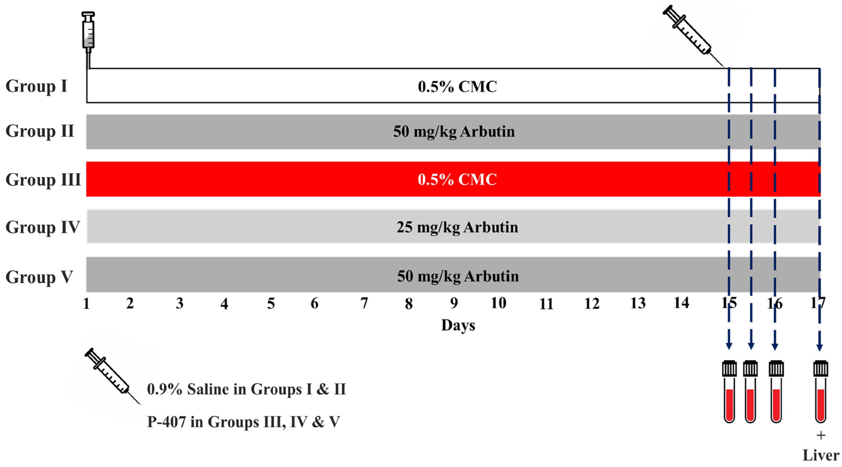 Pharmaceuticals 17 01343 g009