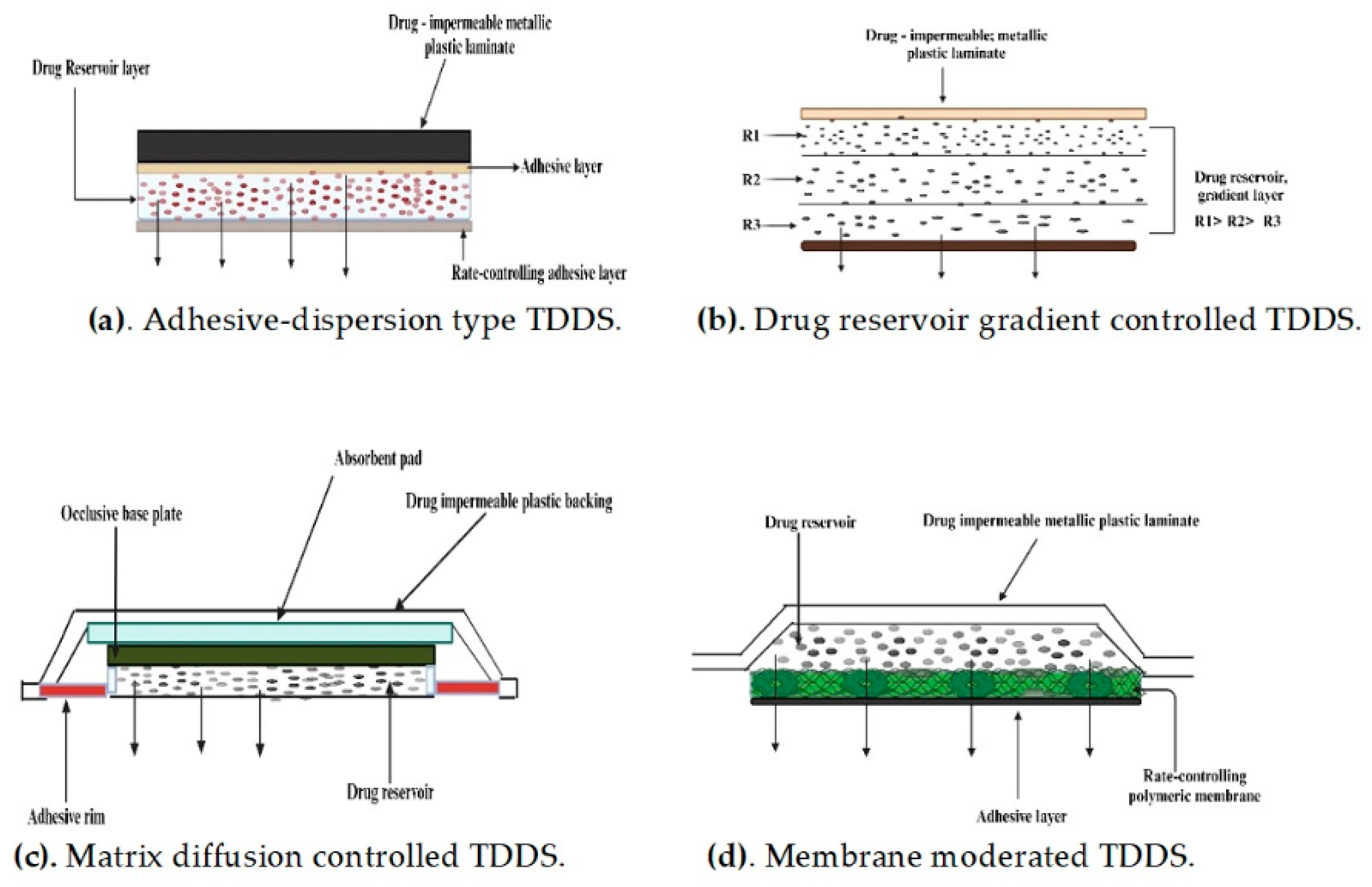 Pharmaceuticals 17 01346 g003