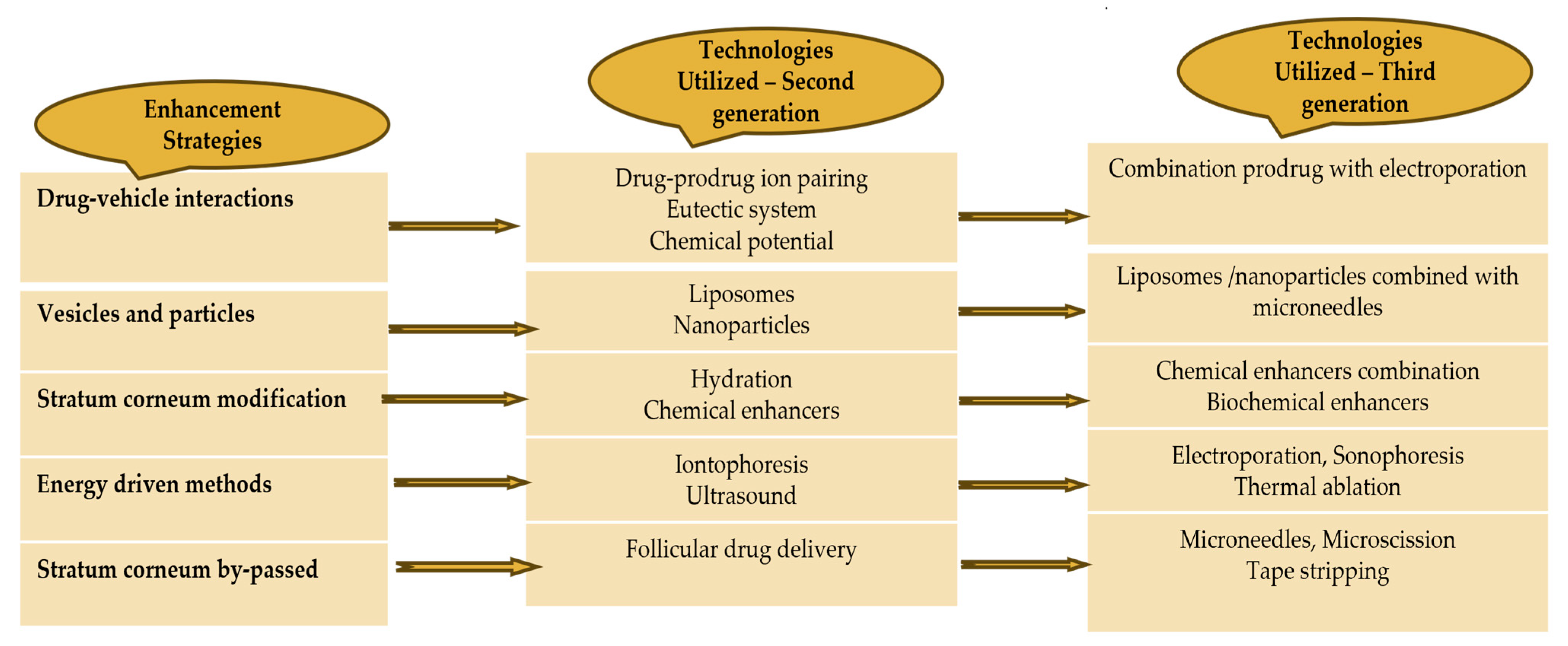 Pharmaceuticals 17 01346 g004
