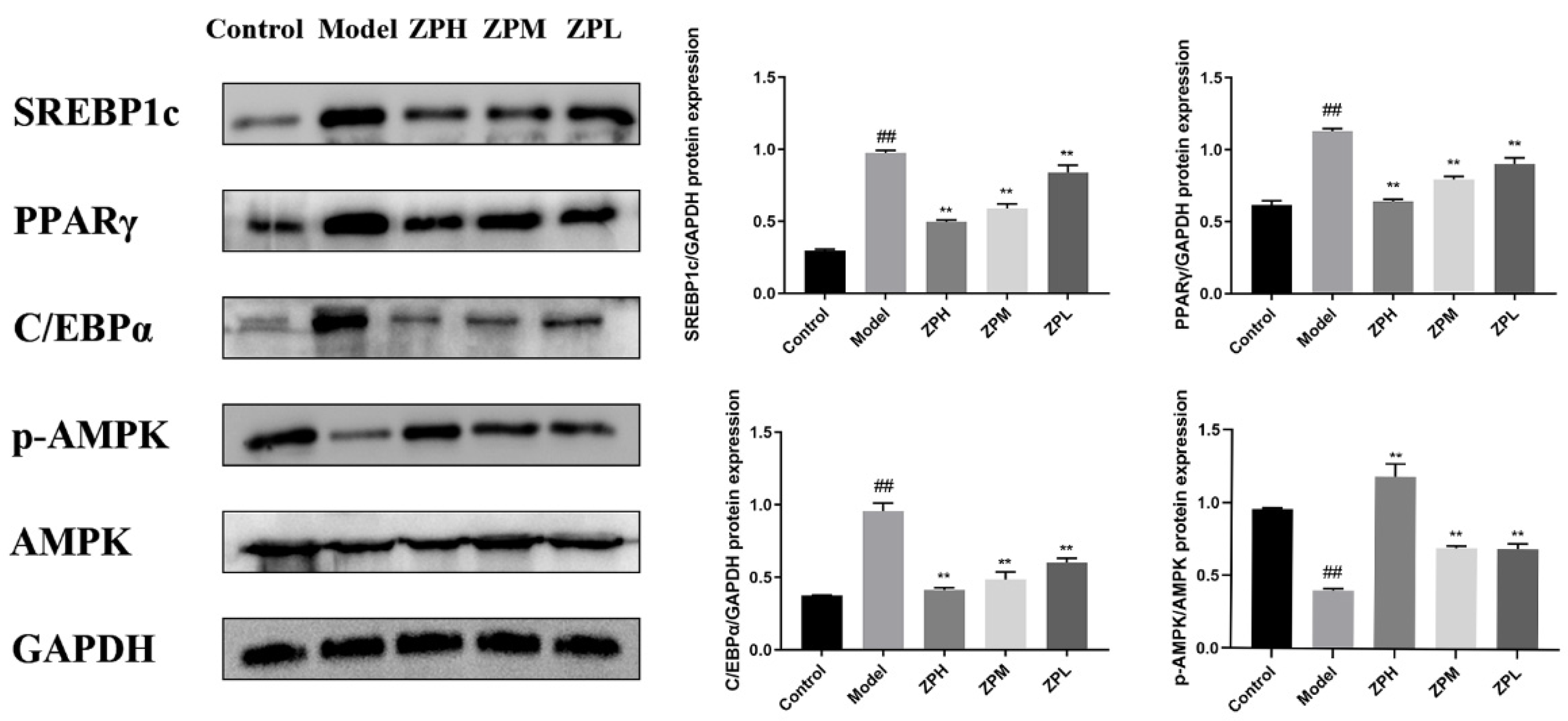 Pharmaceuticals 17 01349 g008
