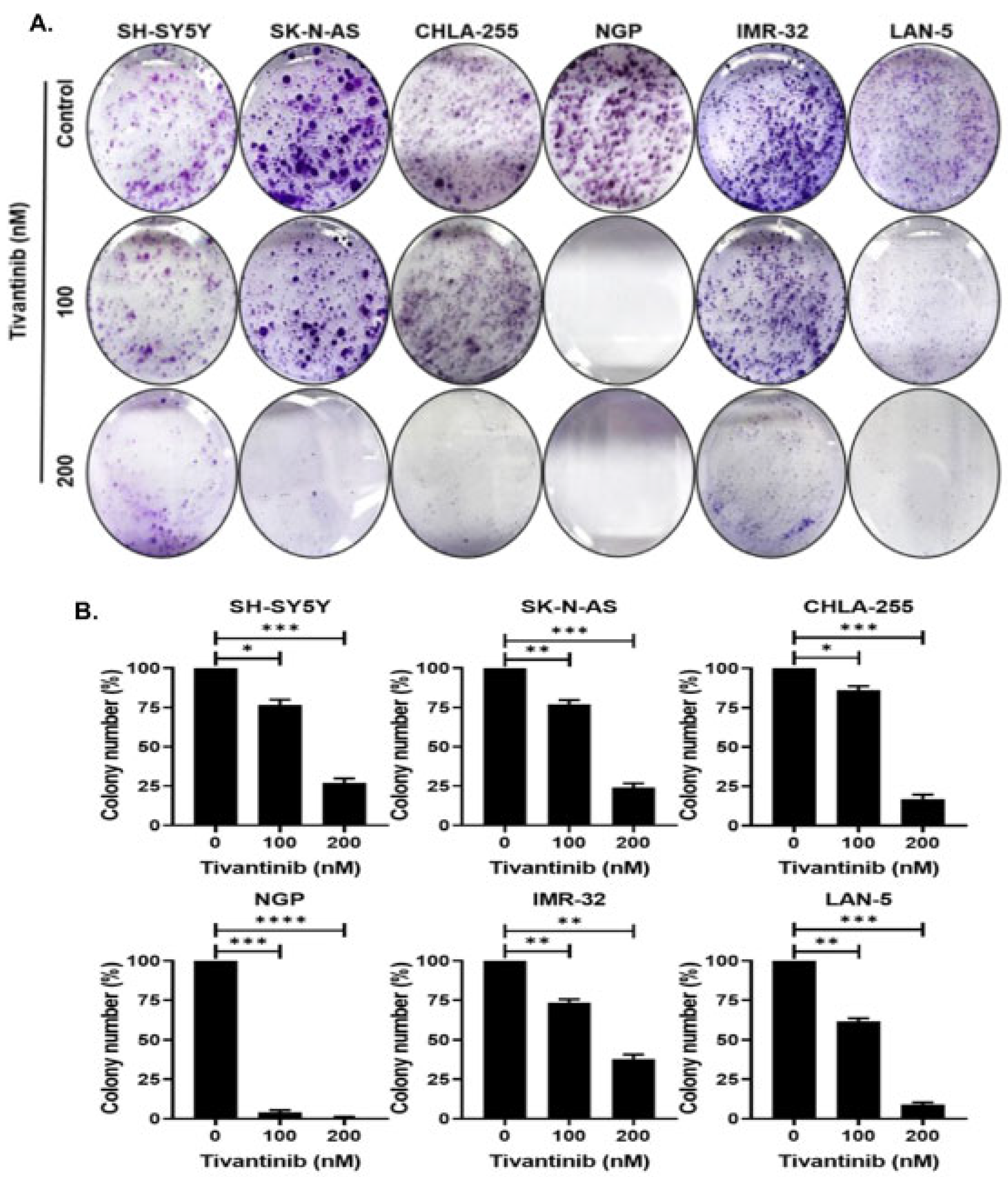 Pharmaceuticals 17 01350 g003