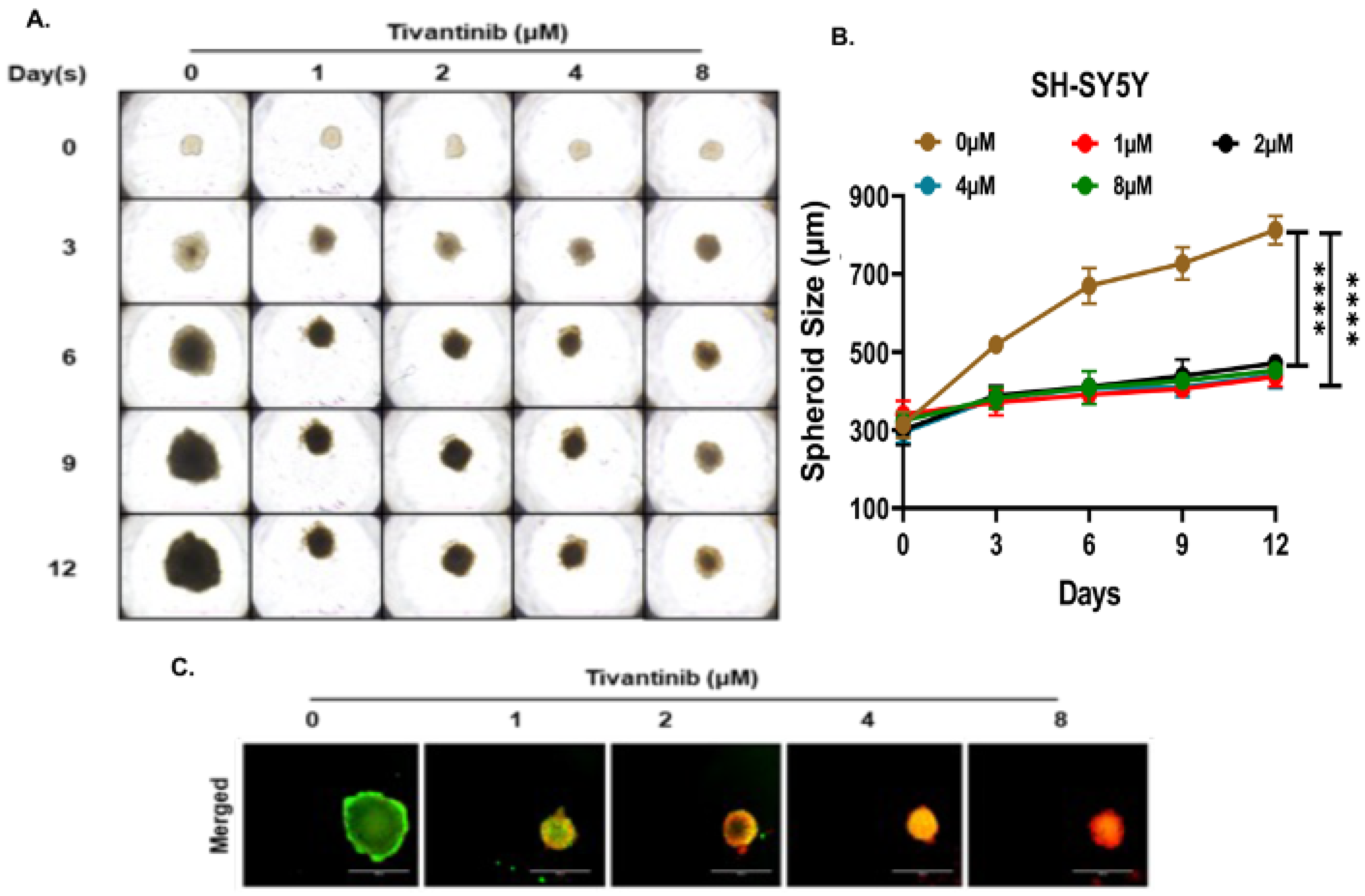 Pharmaceuticals 17 01350 g006