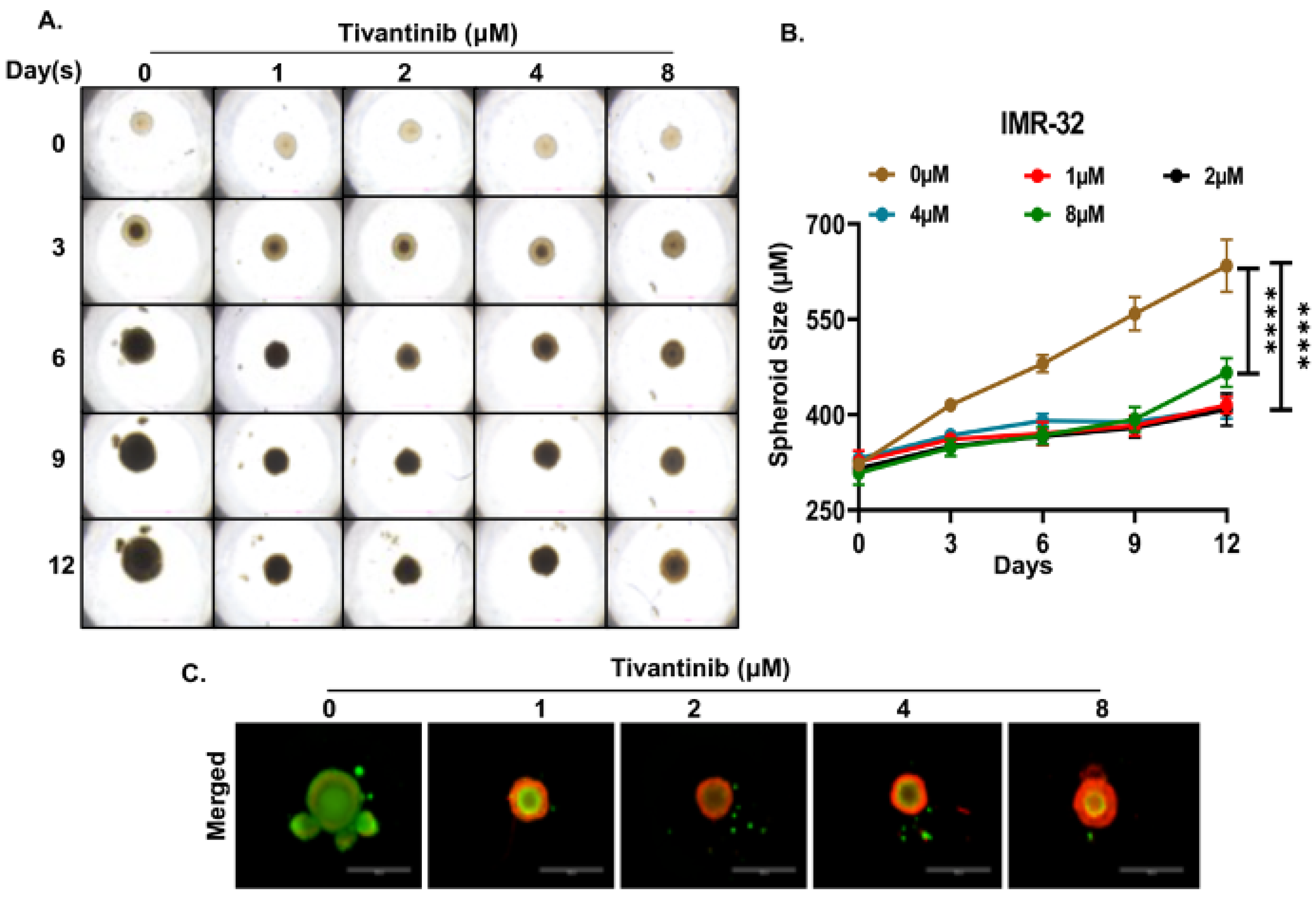 Pharmaceuticals 17 01350 g007