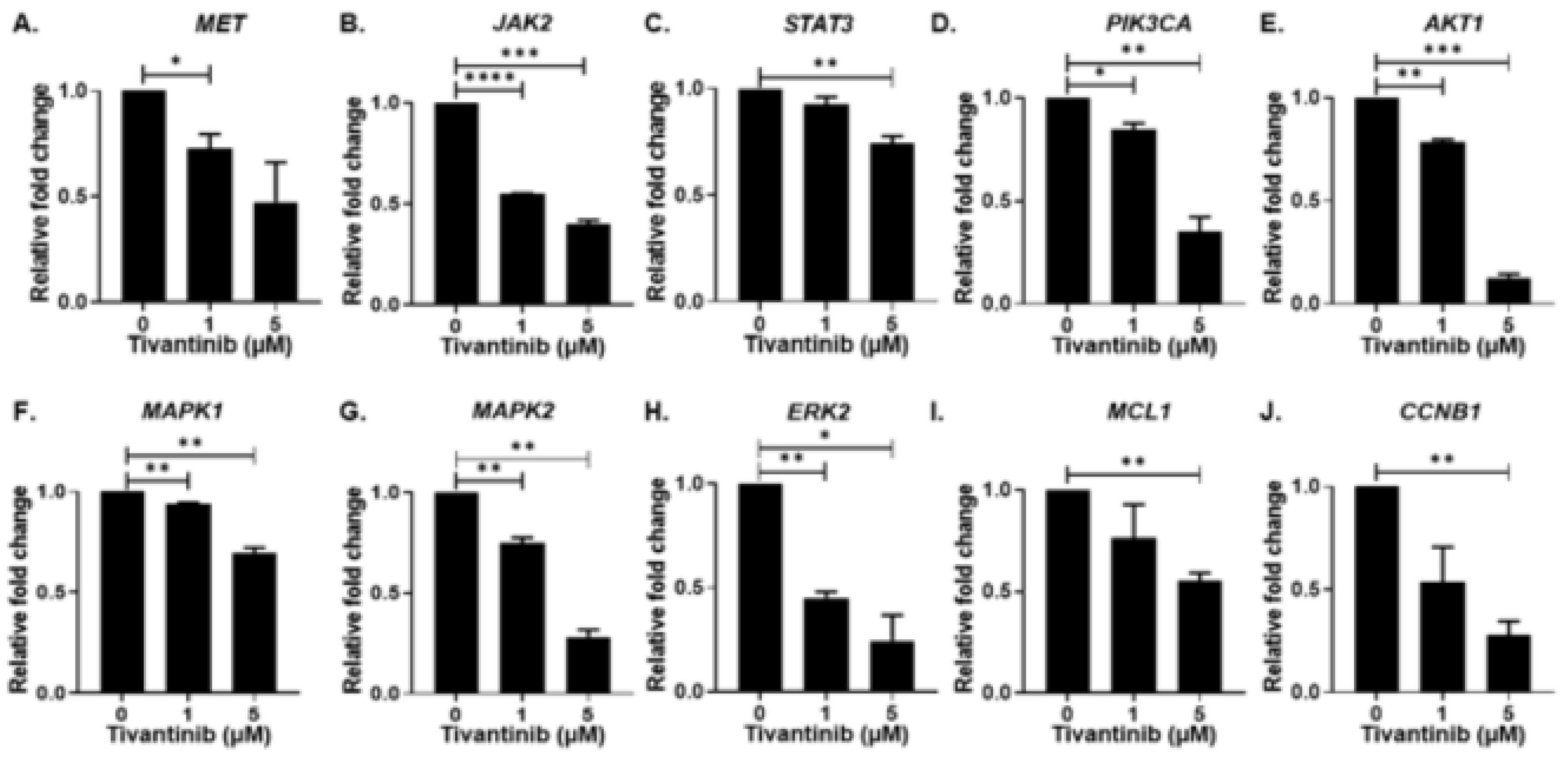 Pharmaceuticals 17 01350 g008