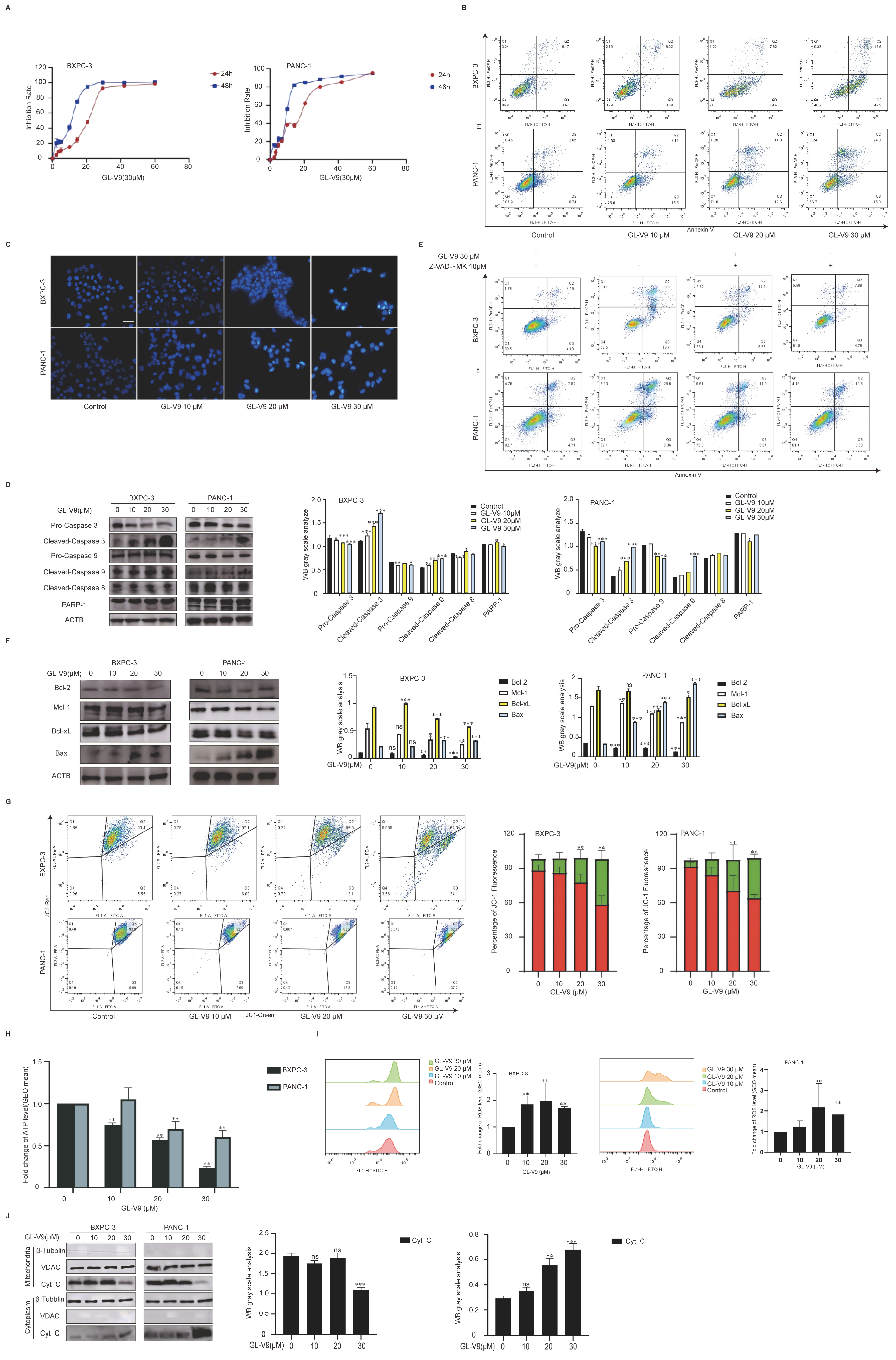 Pharmaceuticals 17 01352 g001