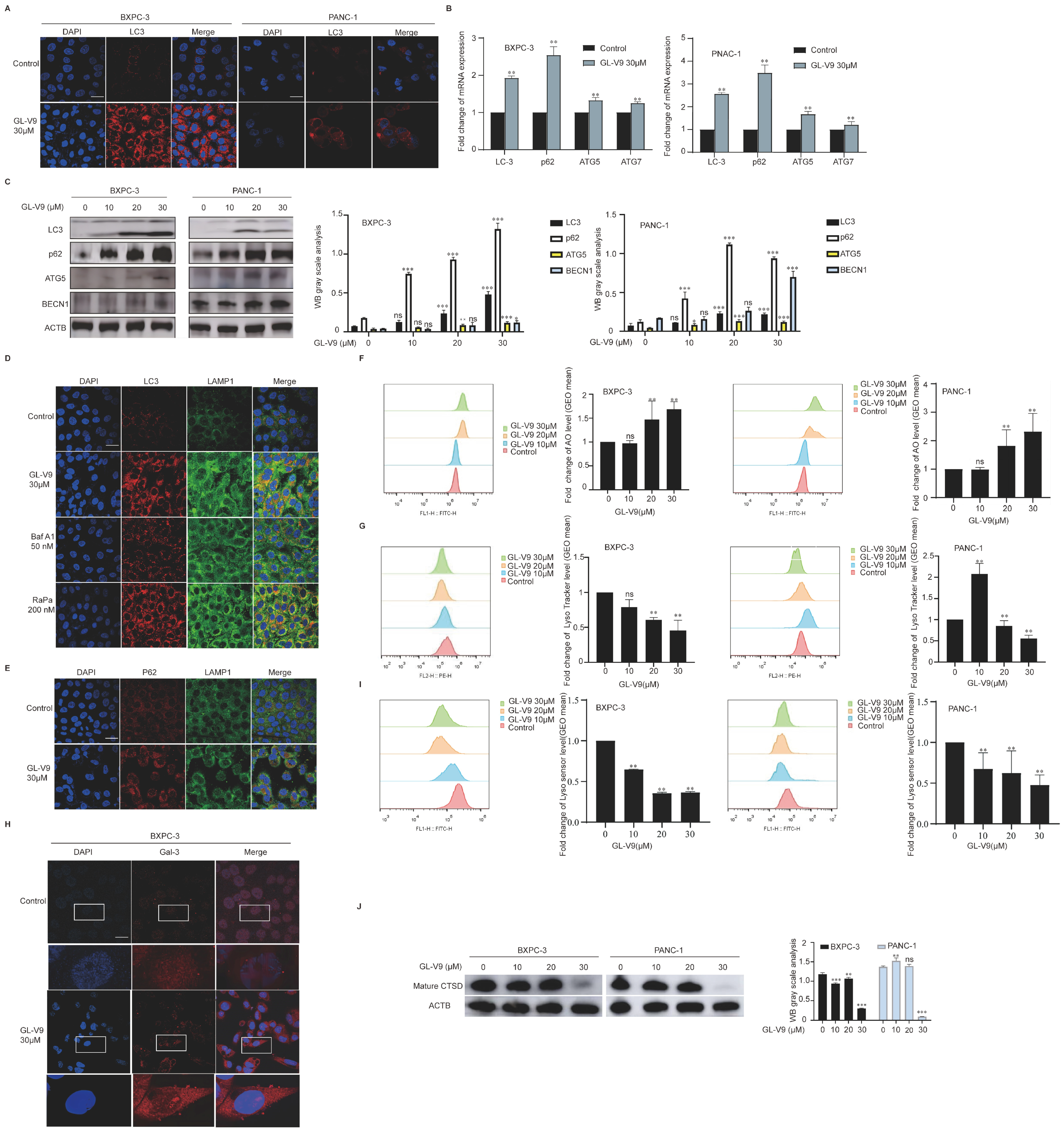 Pharmaceuticals 17 01352 g004