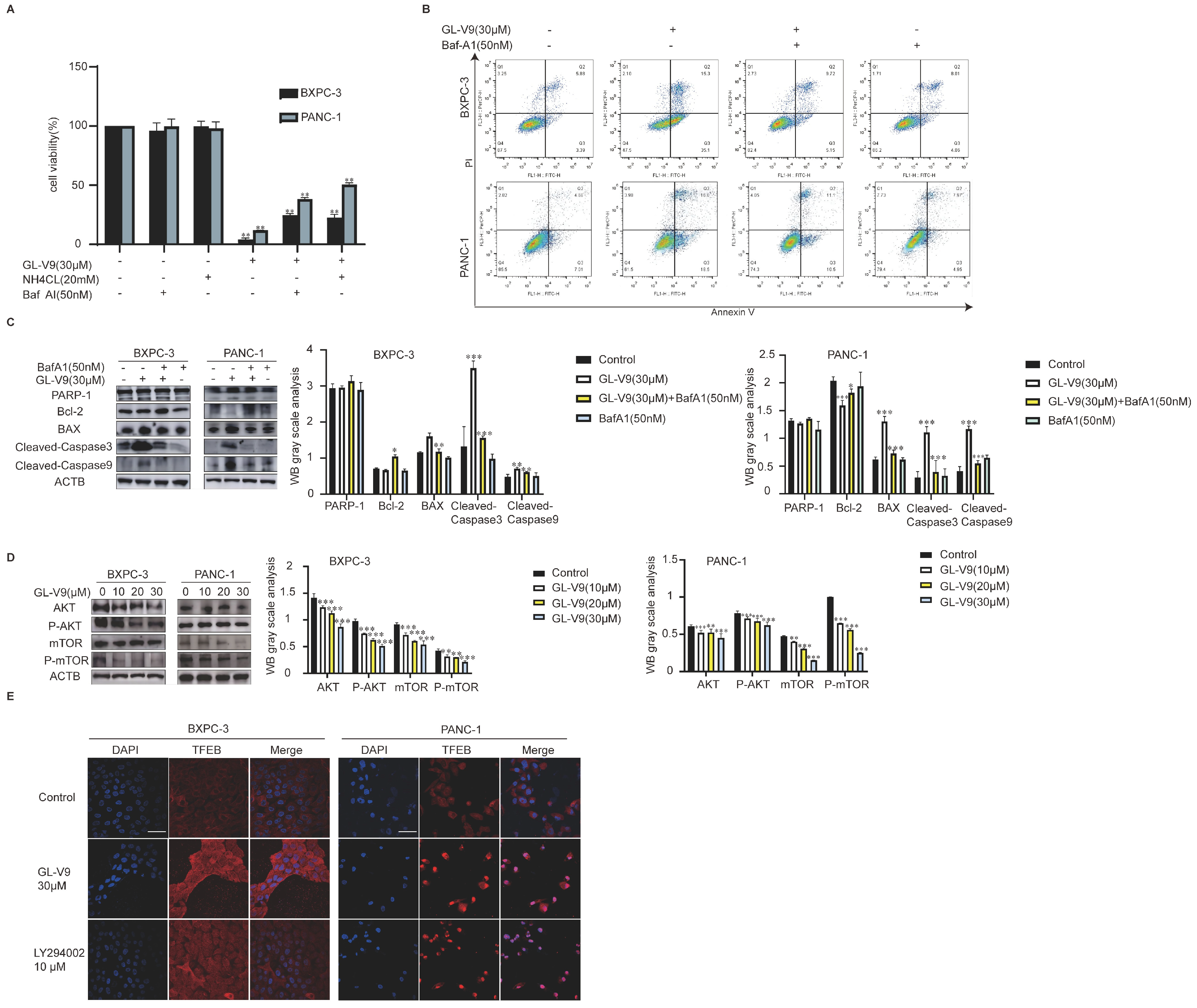 Pharmaceuticals 17 01352 g005