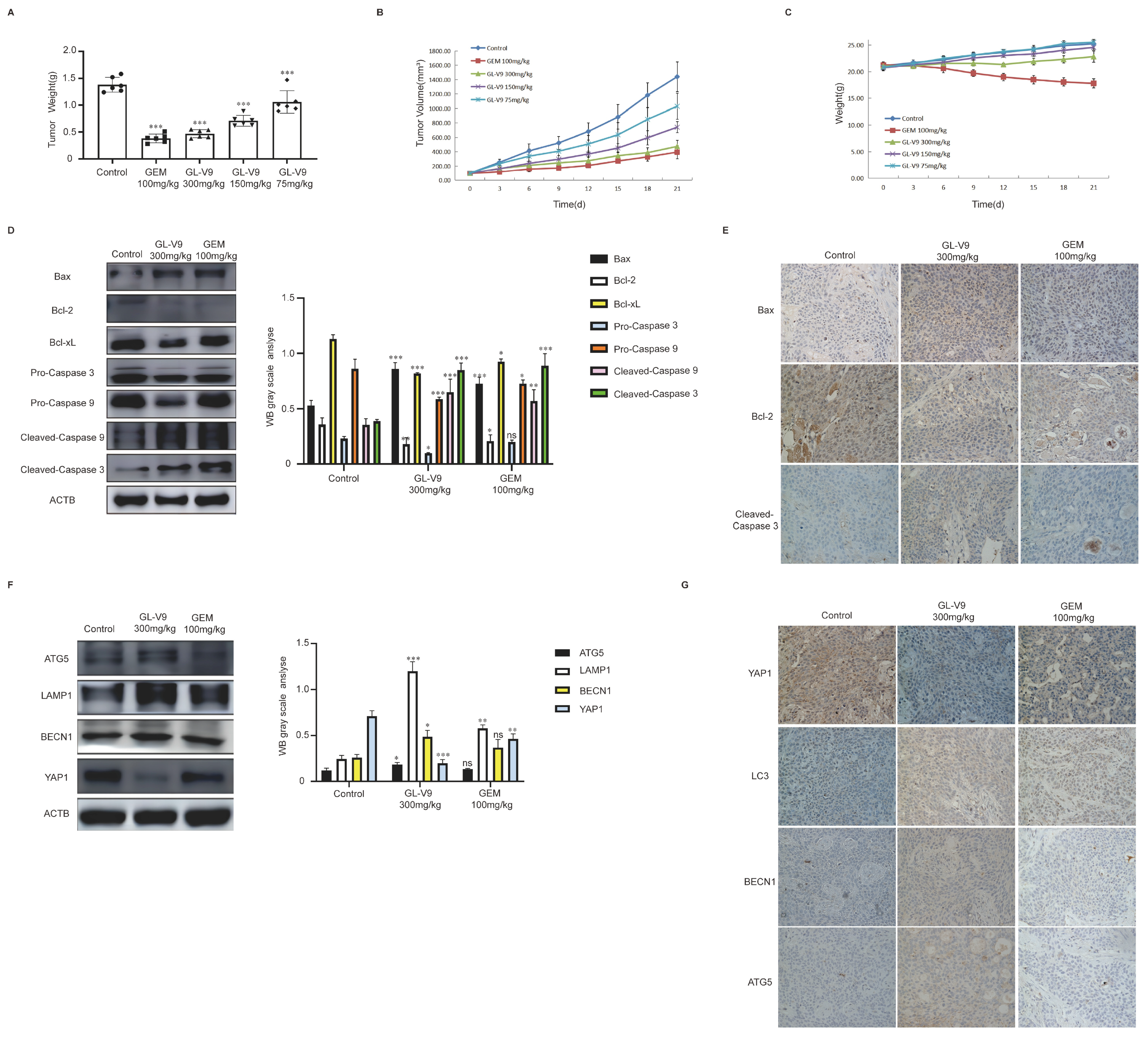 Pharmaceuticals 17 01352 g006