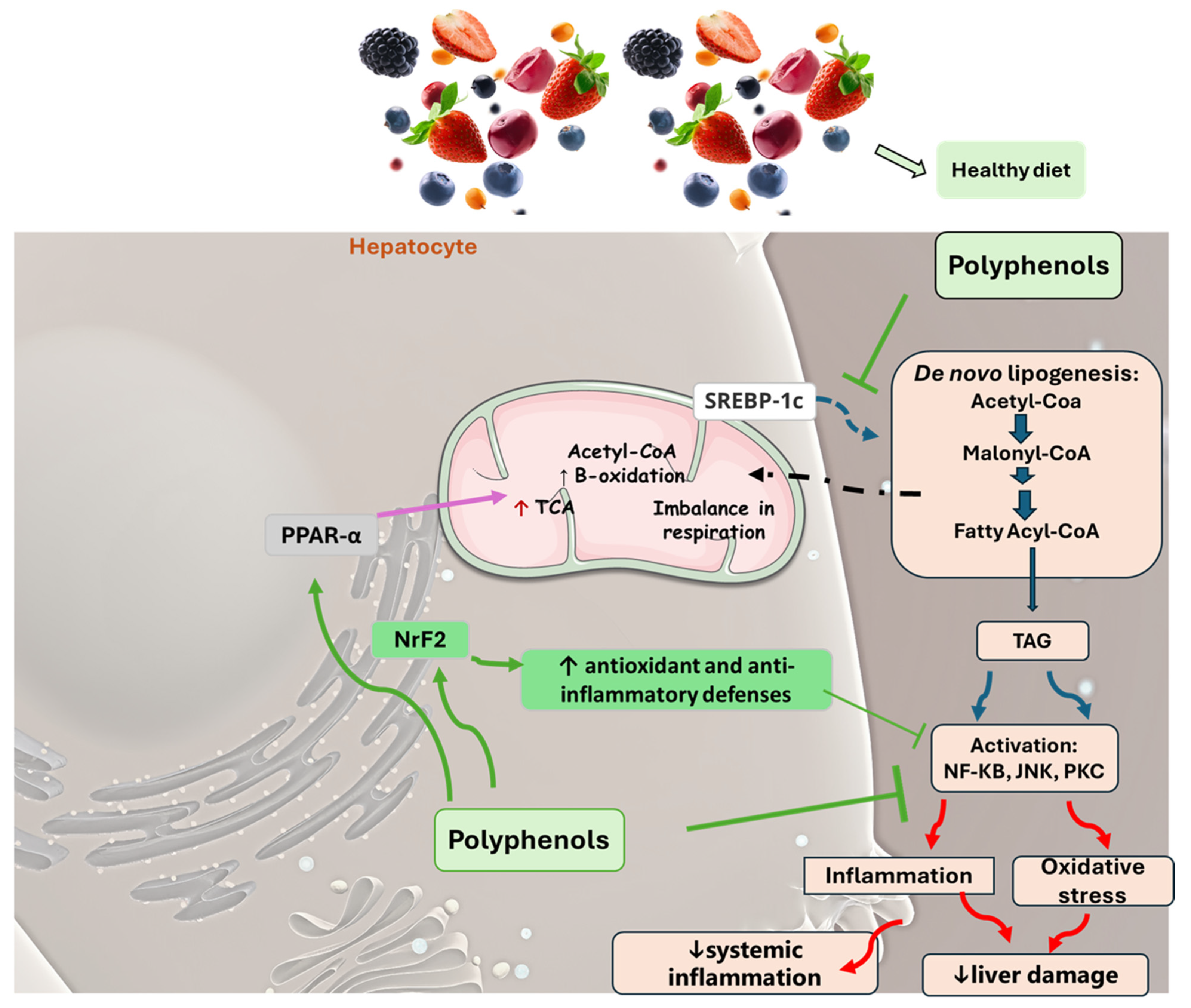 Pharmaceuticals 17 01354 g005