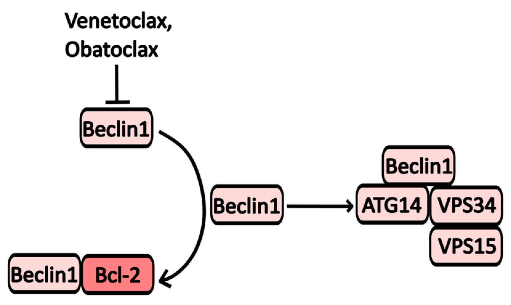 Pharmaceuticals 17 01355 g006