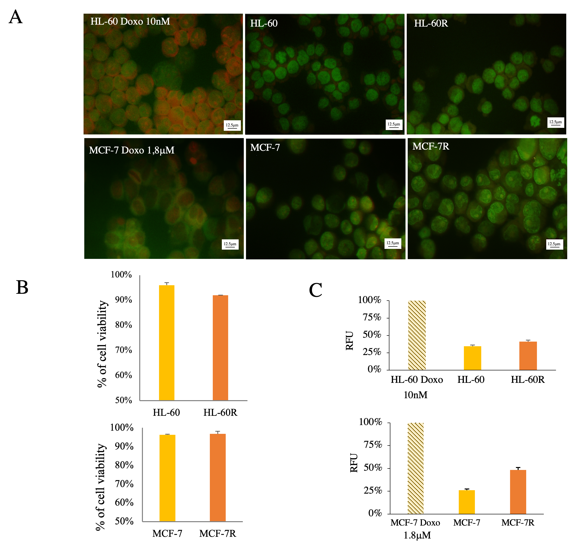 Pharmaceuticals 17 01358 g002