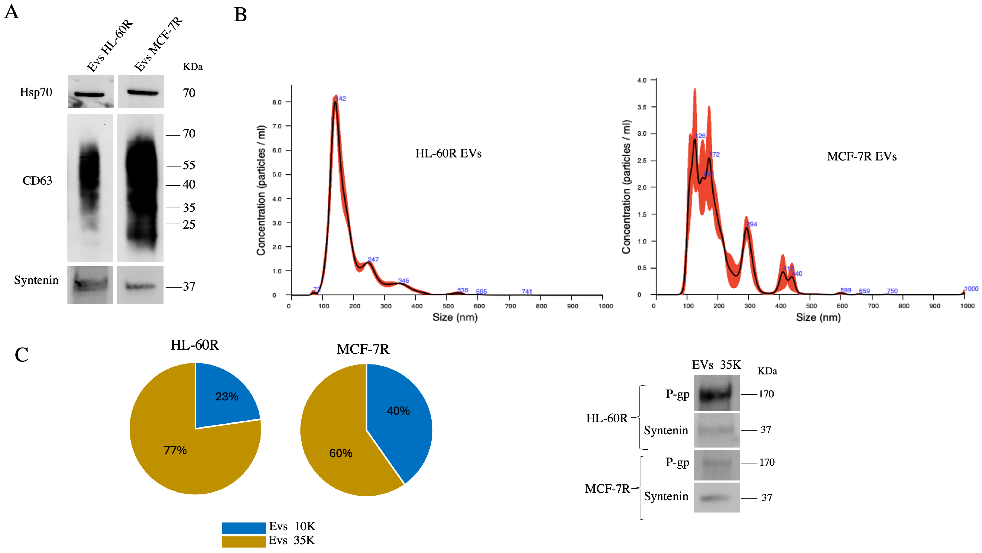 Pharmaceuticals 17 01358 g003