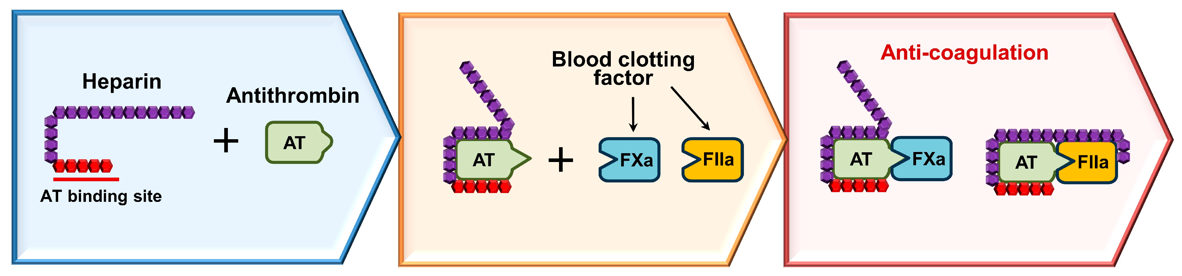 Pharmaceuticals 17 01362 g003 Pharmaceuticals 17 01362 g003