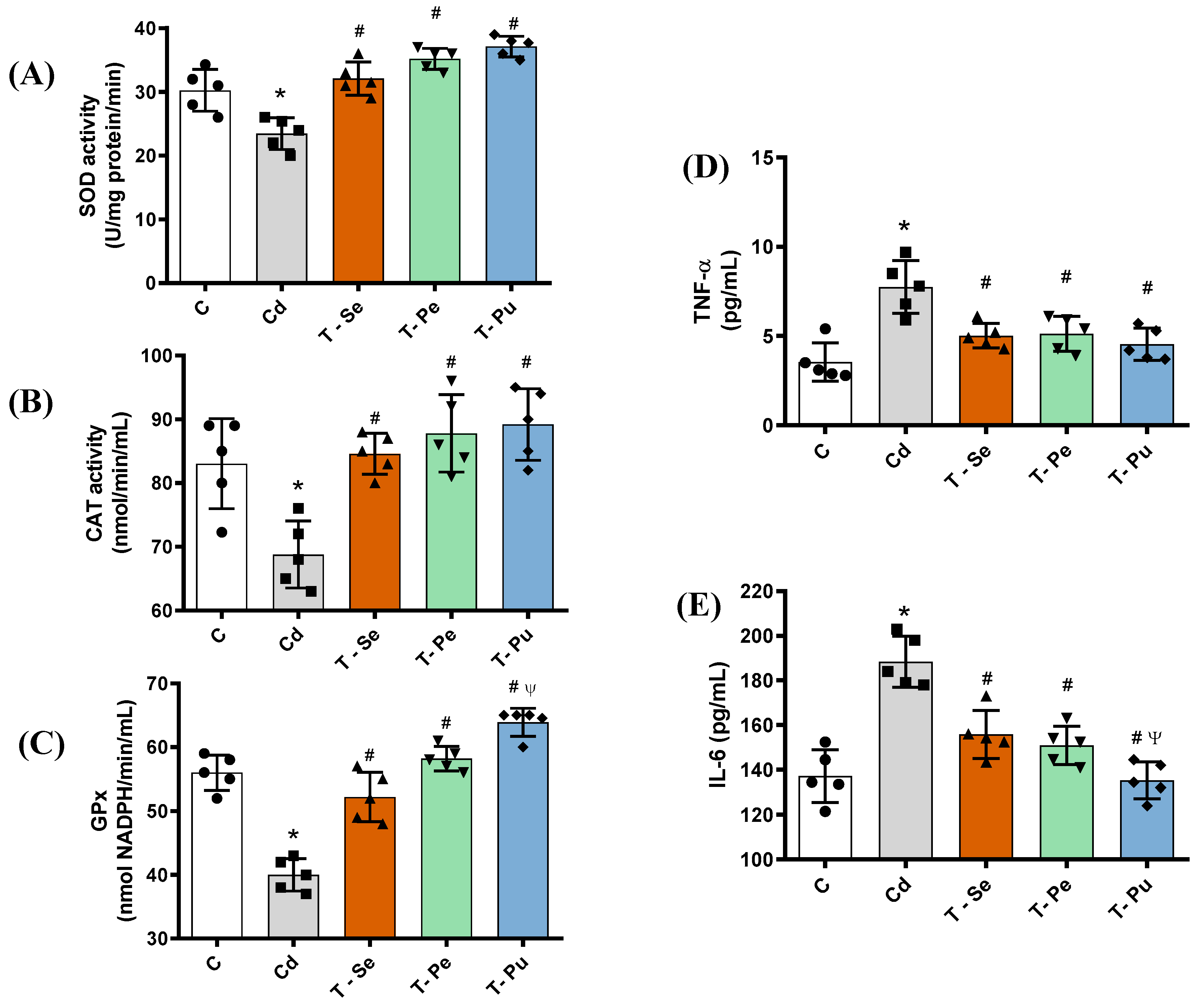 Pharmaceuticals 17 01393 g002