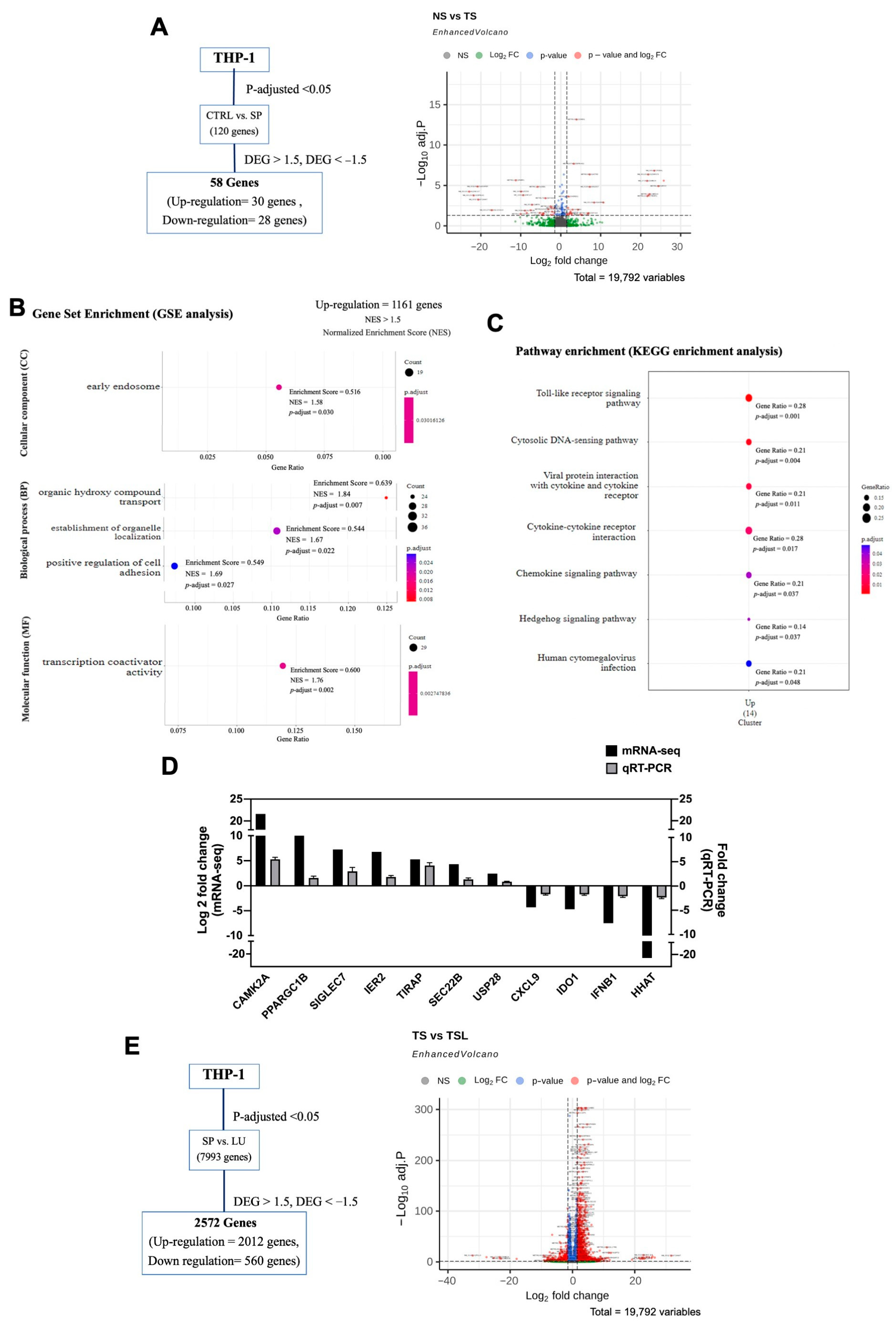 Pharmaceuticals 17 01402 g002