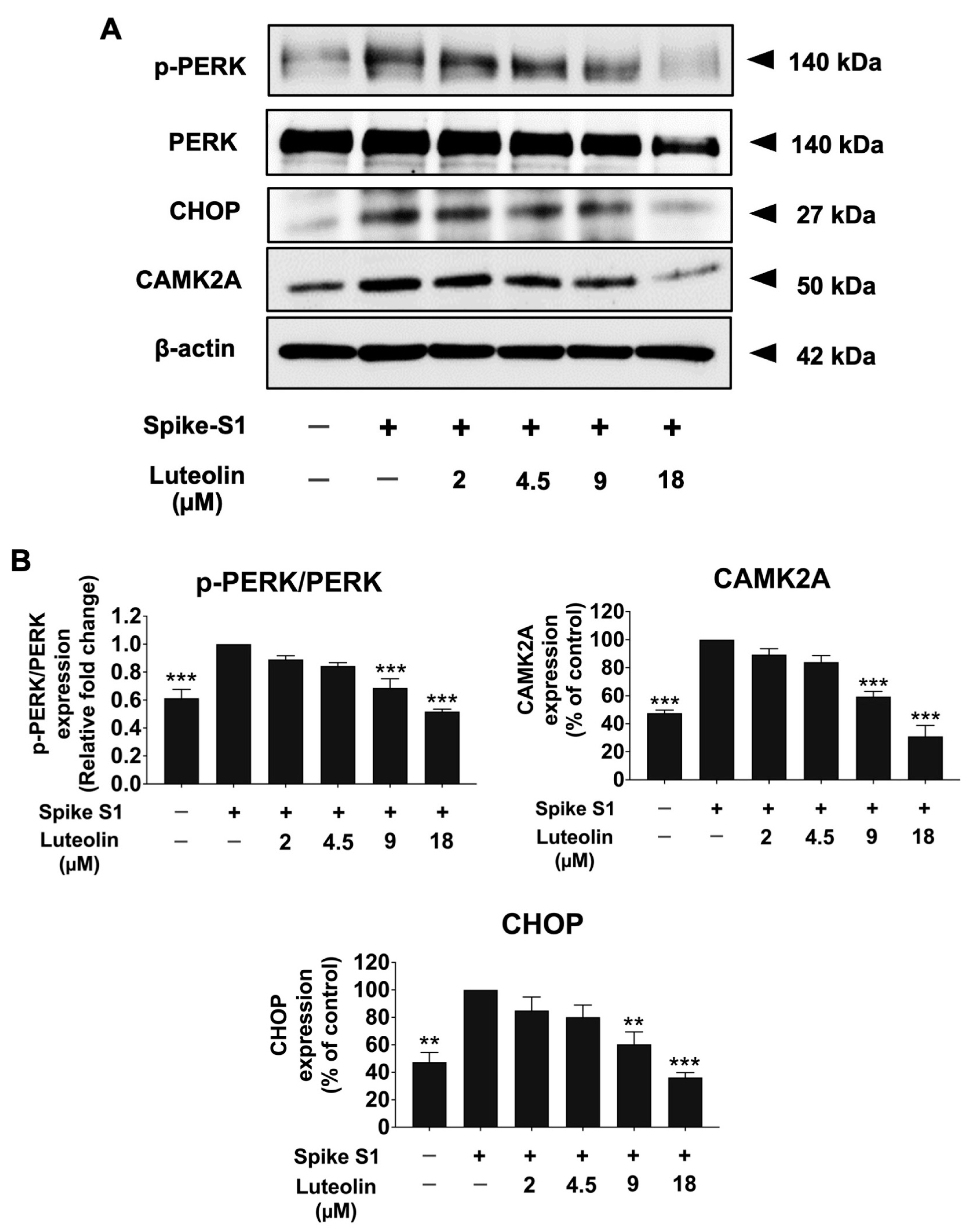 Pharmaceuticals 17 01402 g003