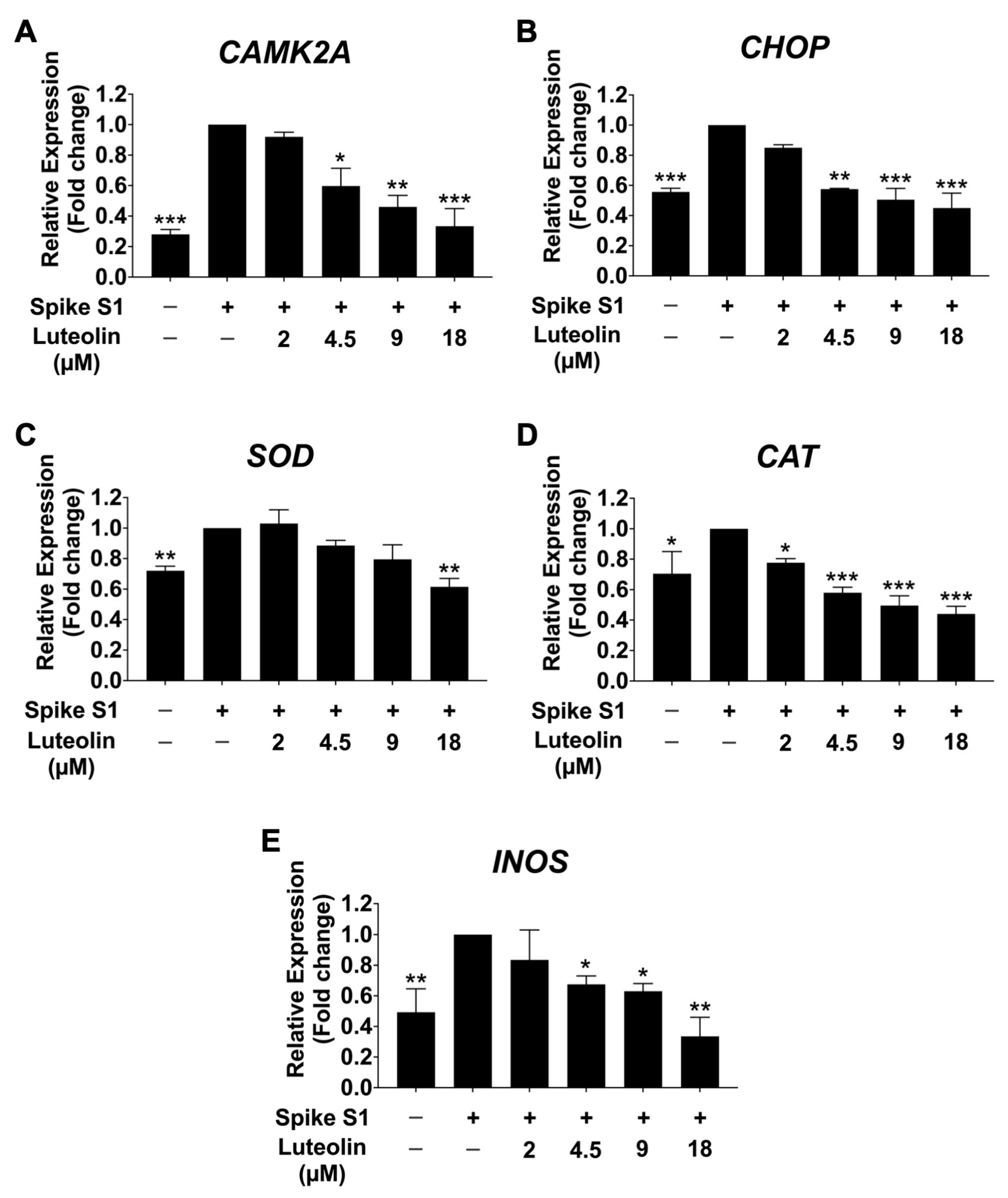 Pharmaceuticals 17 01402 g004