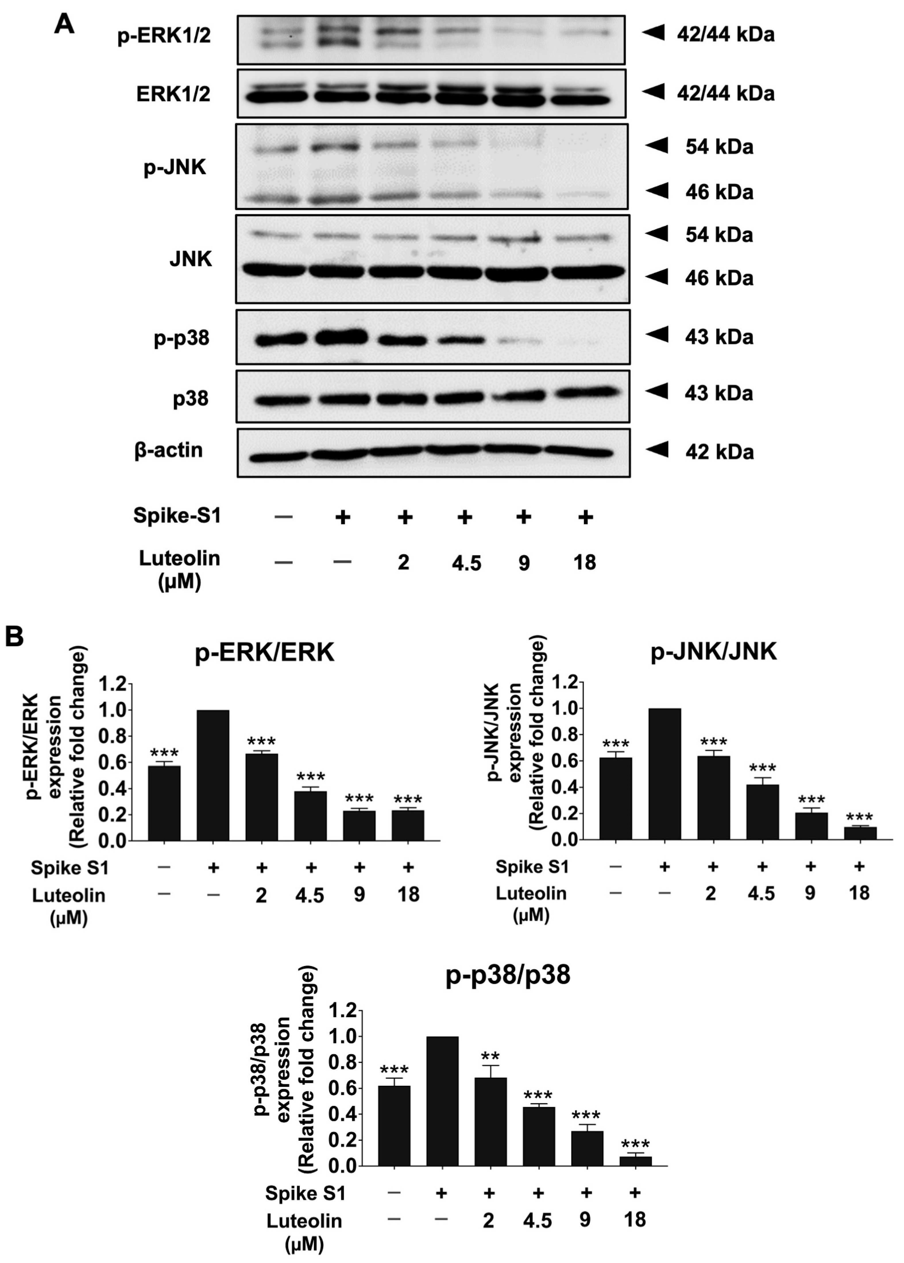 Pharmaceuticals 17 01402 g007
