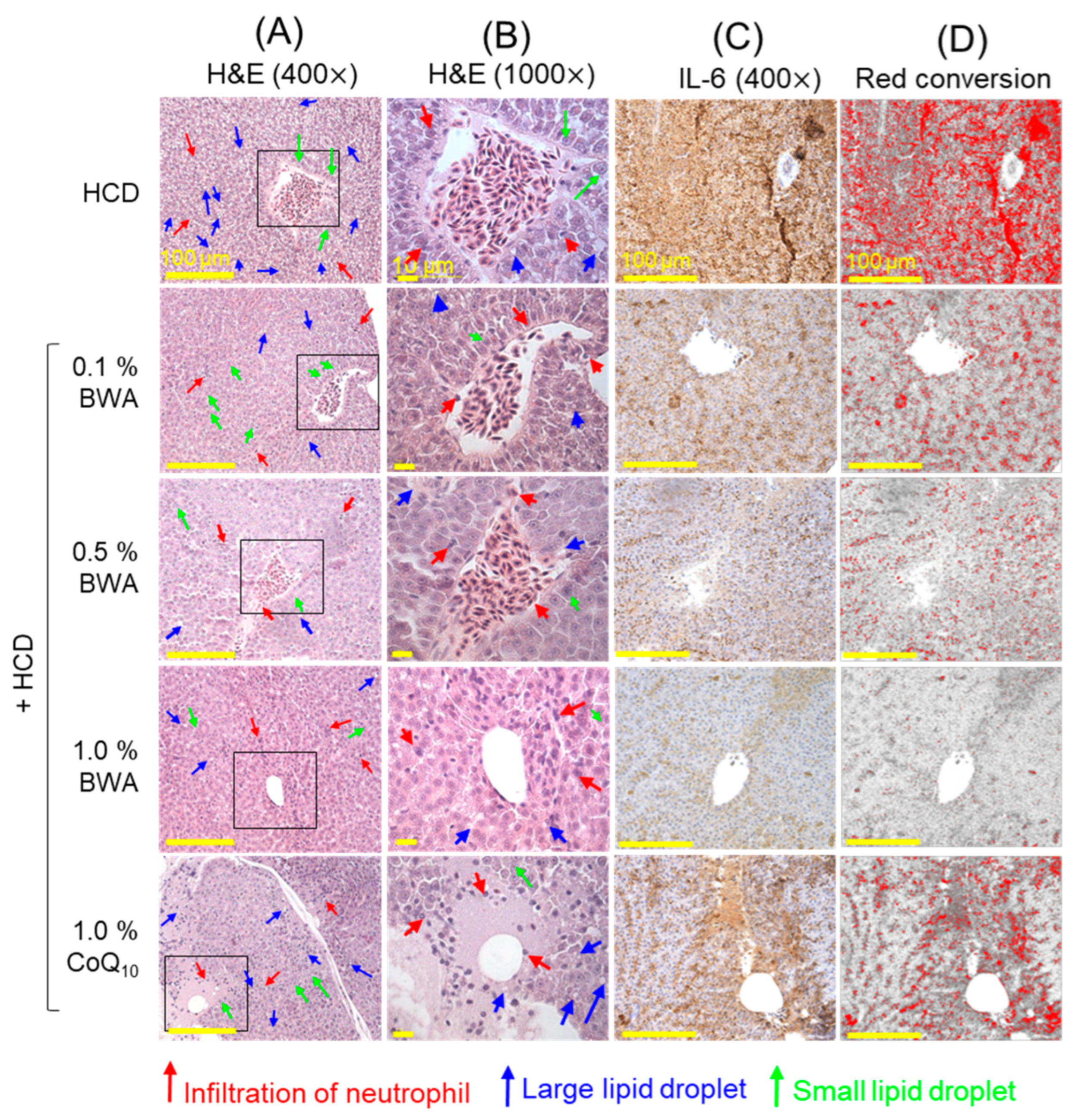 Pharmaceuticals 17 01434 g005a Pharmaceuticals 17 01434 g005a