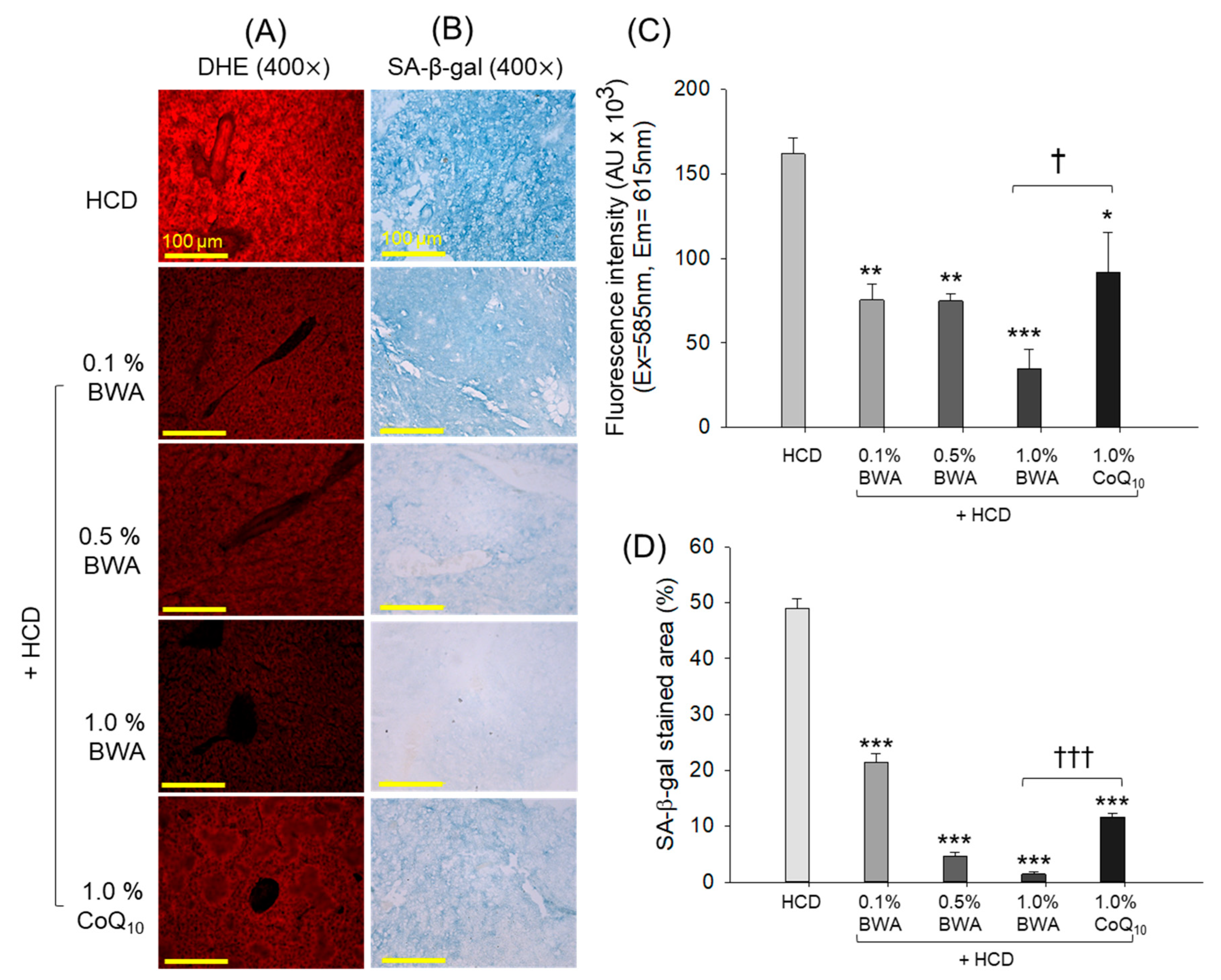 Pharmaceuticals 17 01434 g006 Pharmaceuticals 17 01434 g006