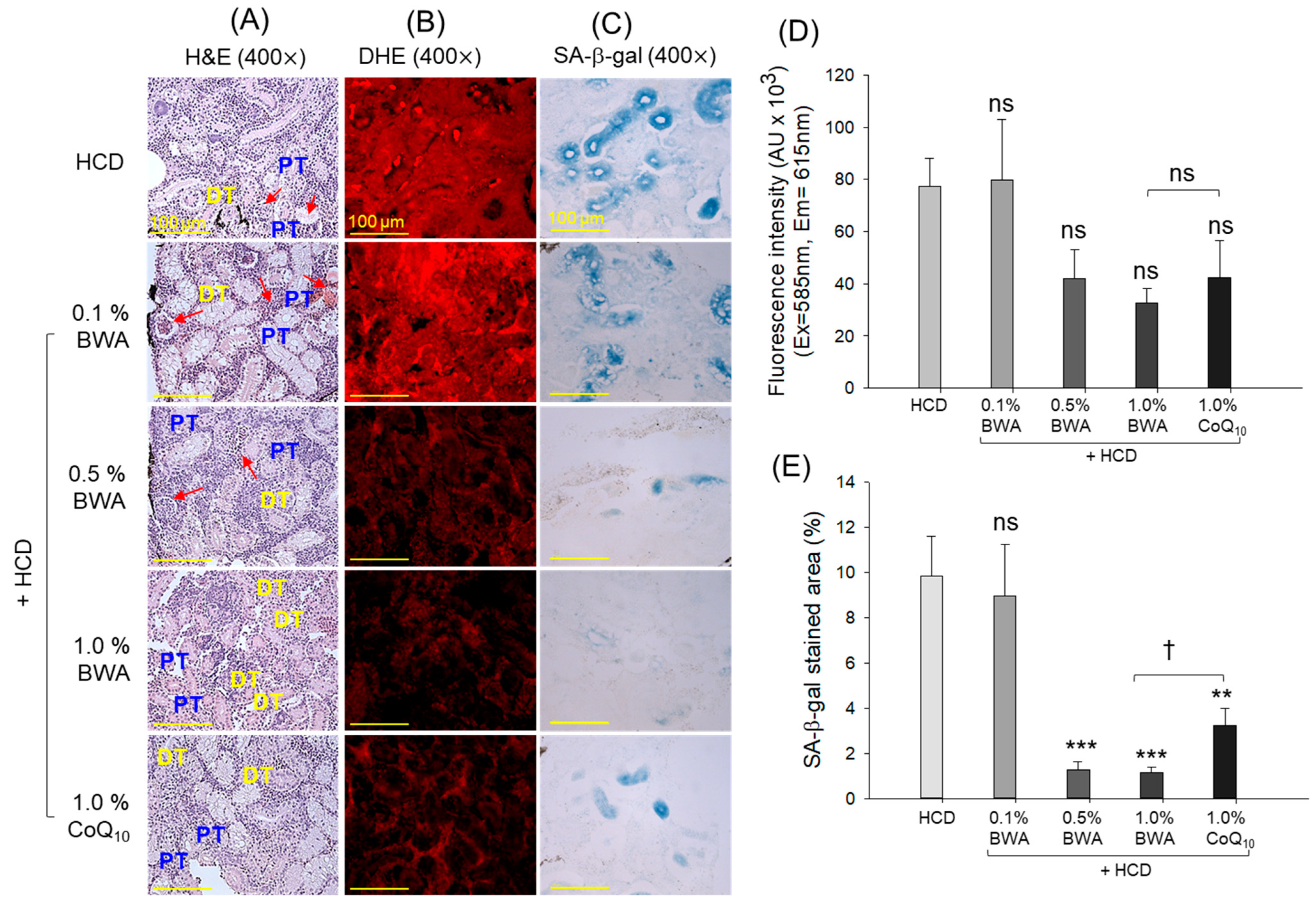 Pharmaceuticals 17 01434 g007 Pharmaceuticals 17 01434 g007