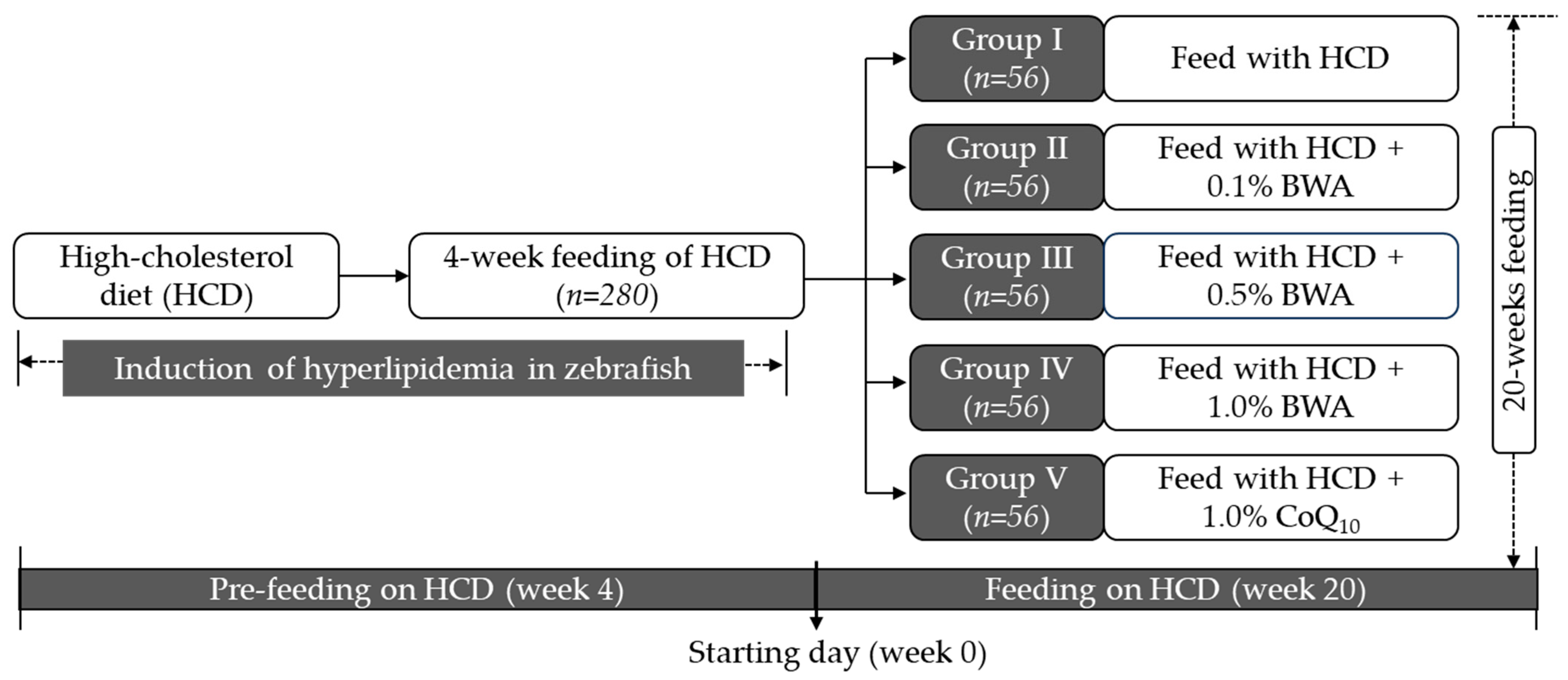 Pharmaceuticals 17 01434 g010 Pharmaceuticals 17 01434 g010