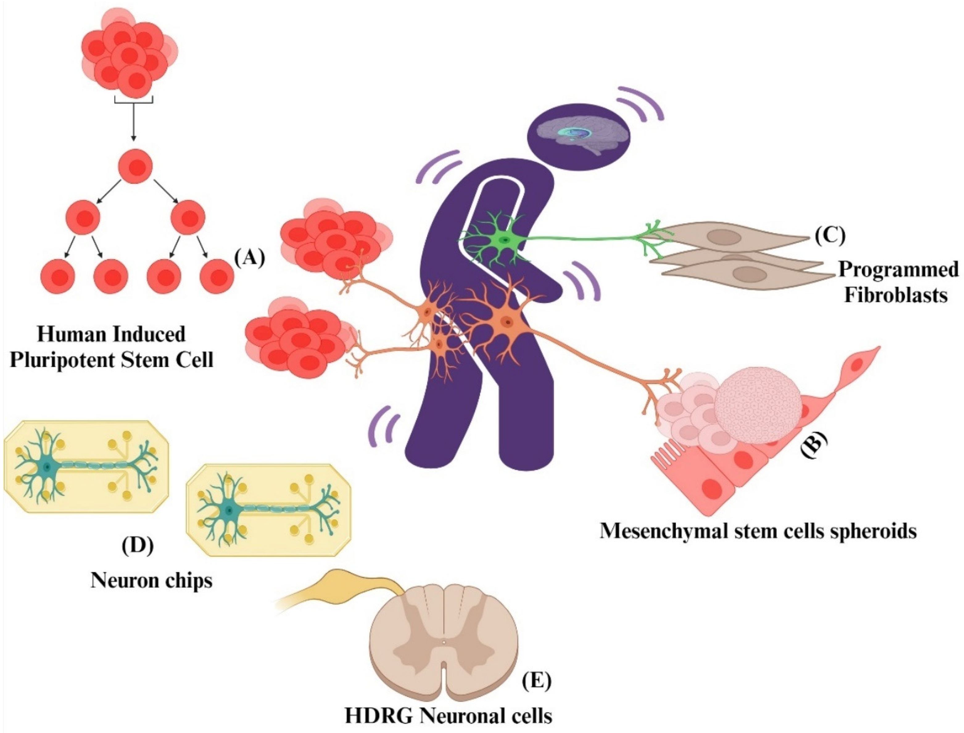 Pharmaceuticals 17 01439 g004