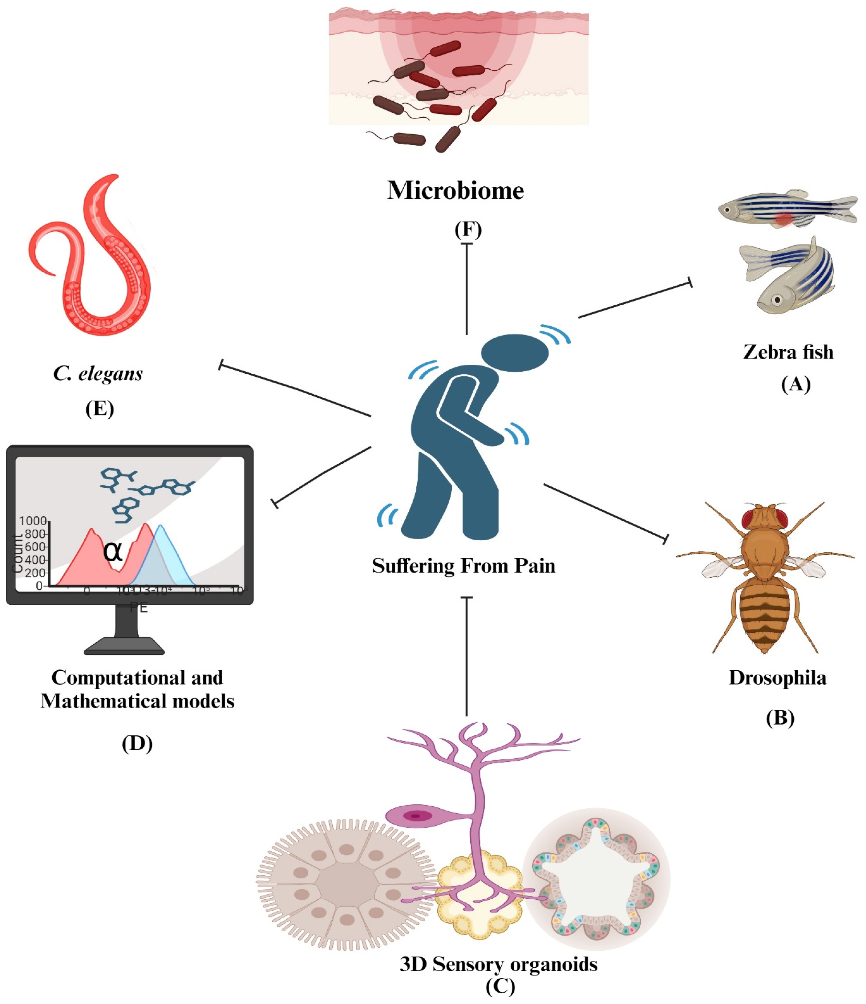 Pharmaceuticals 17 01439 g005