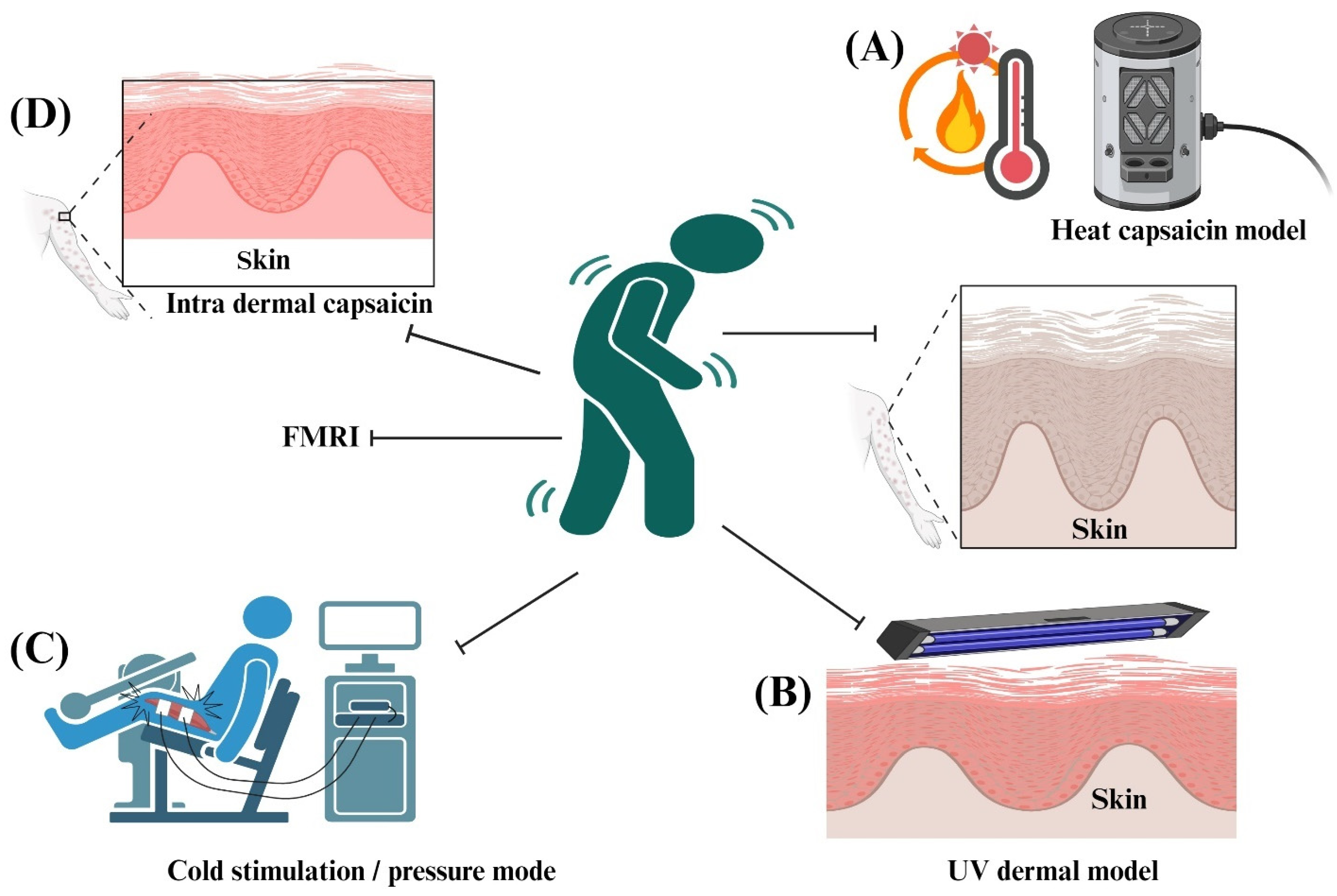 Pharmaceuticals 17 01439 g006