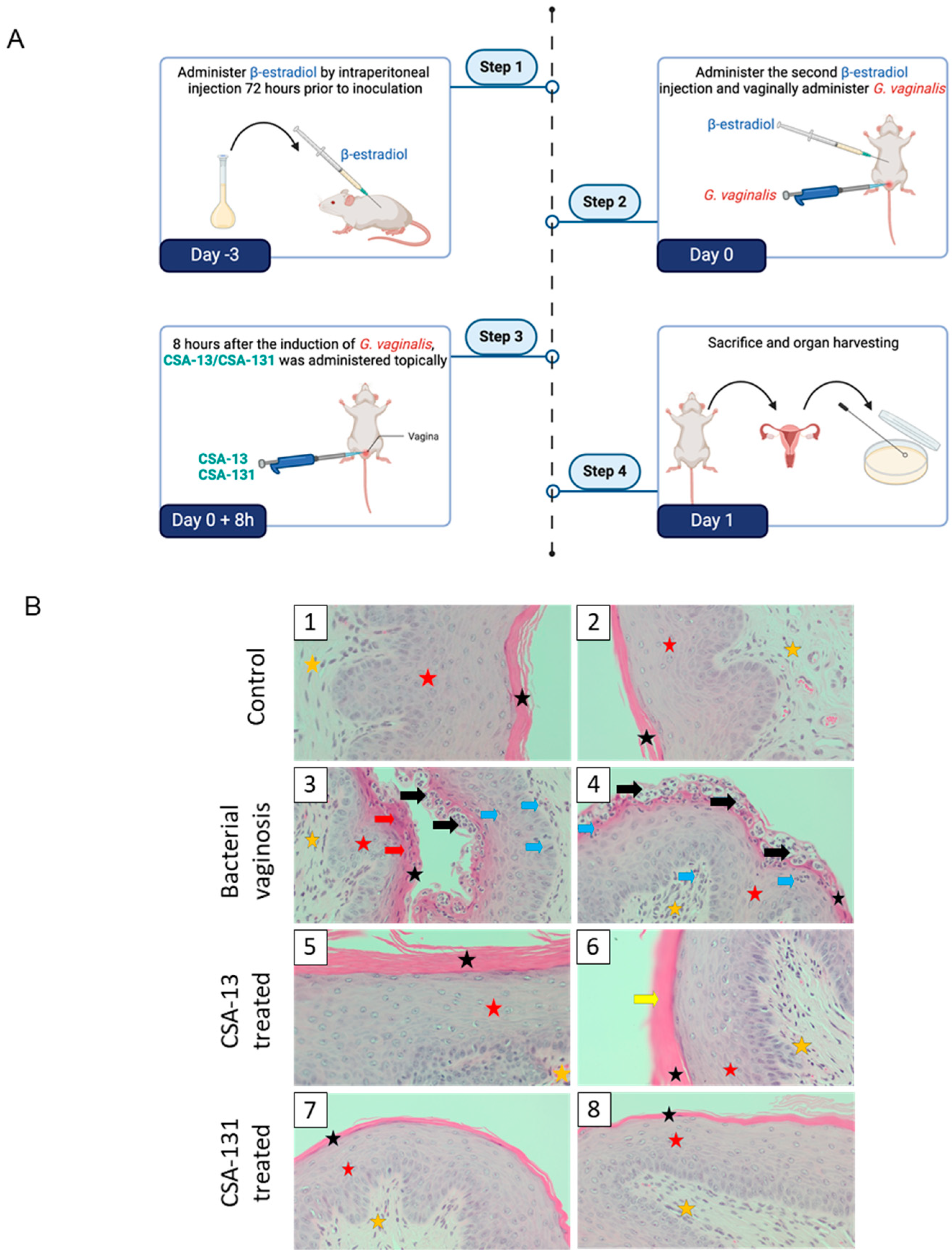 Pharmaceuticals 17 01445 g005