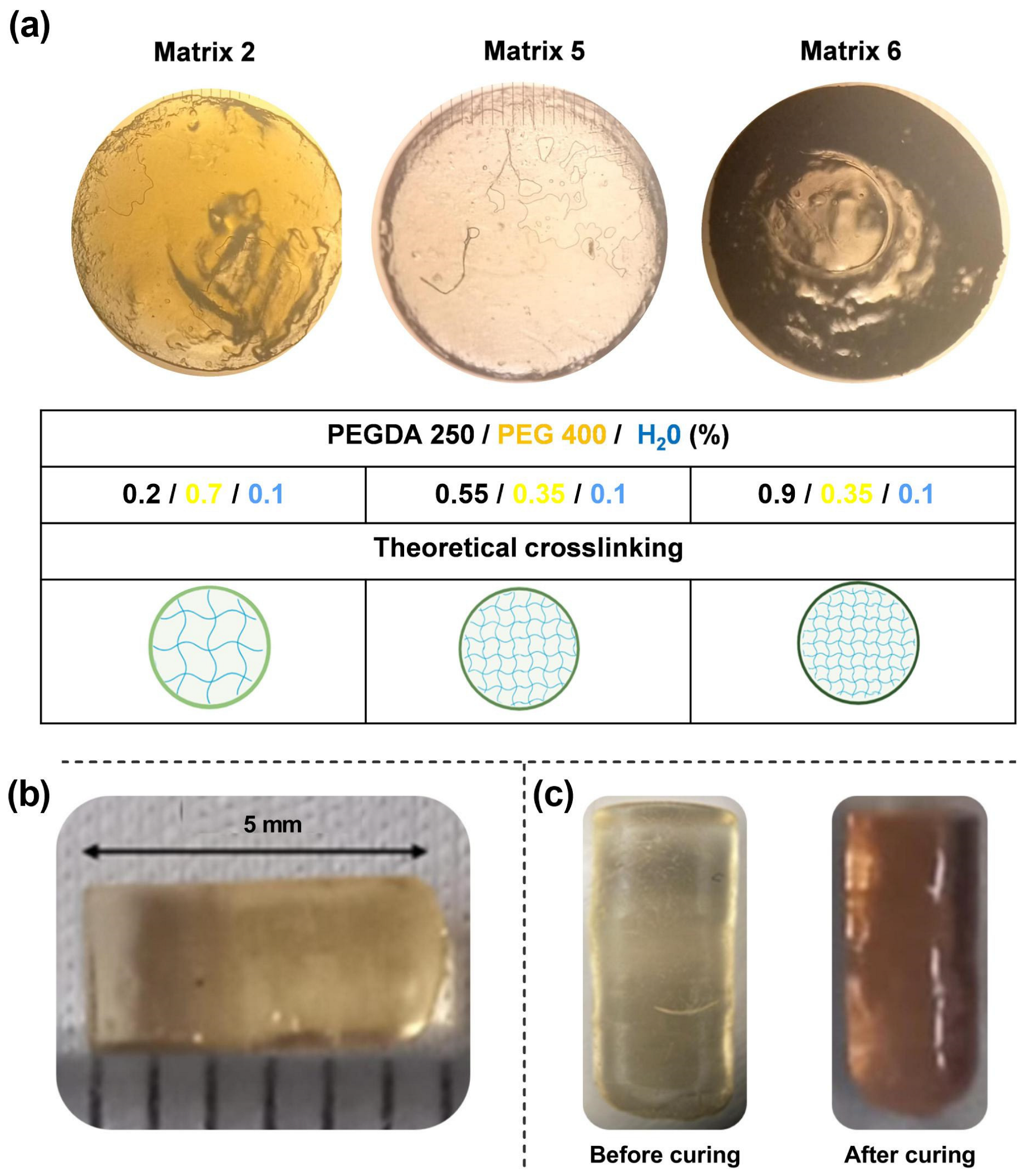 Pharmaceuticals 17 01453 g007