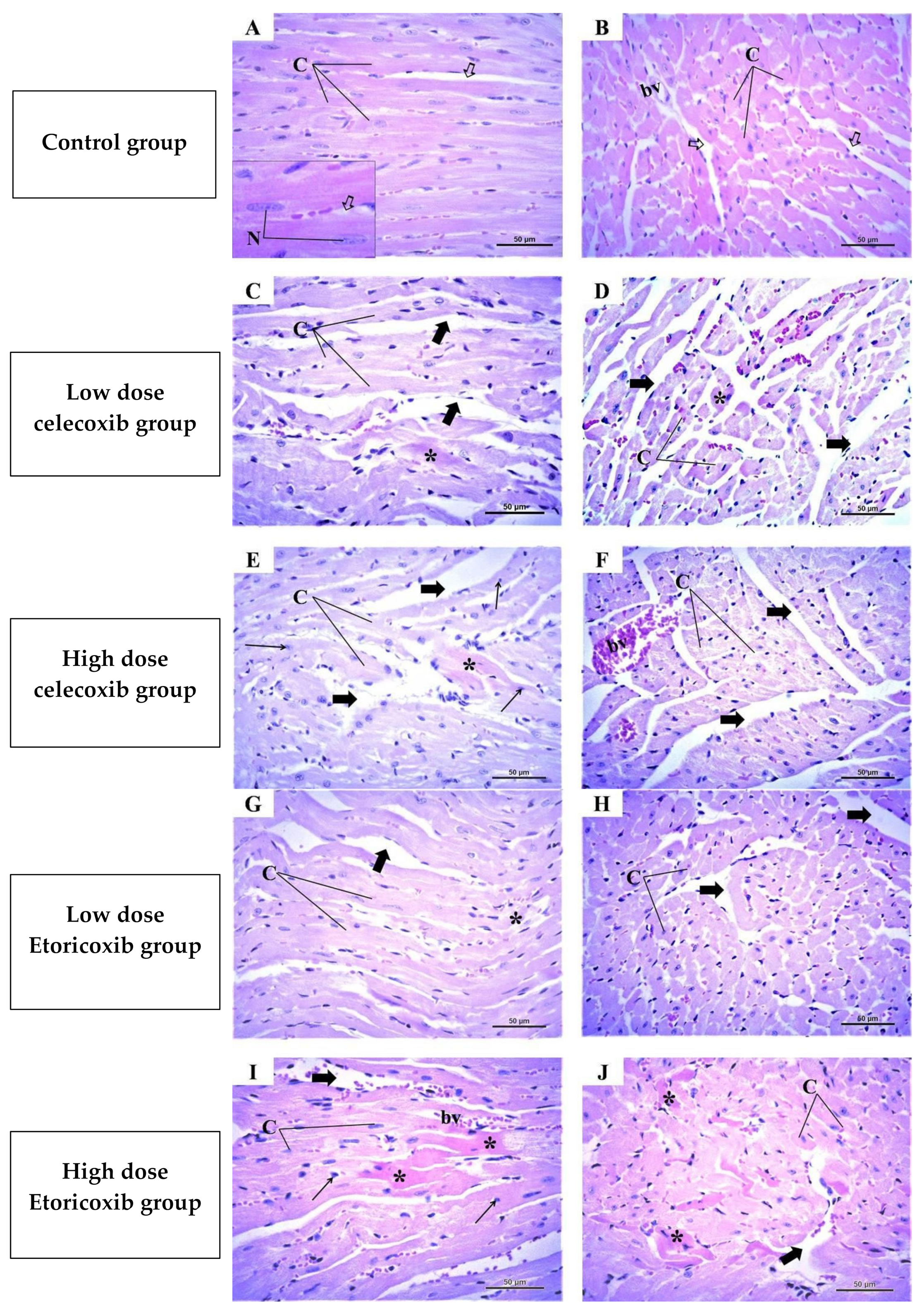 Pharmaceuticals 17 01454 g003