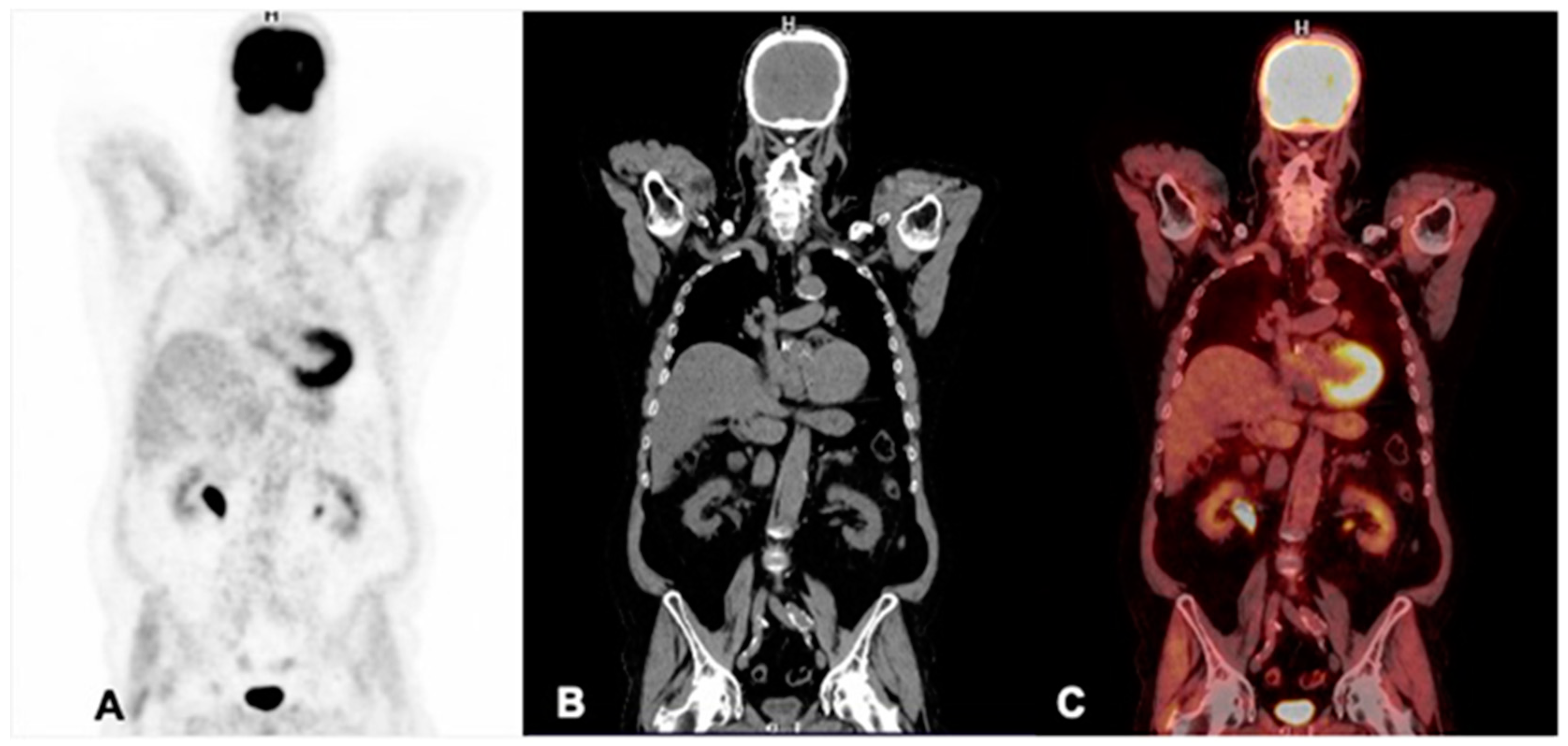 Pharmaceuticals 17 01483 g003