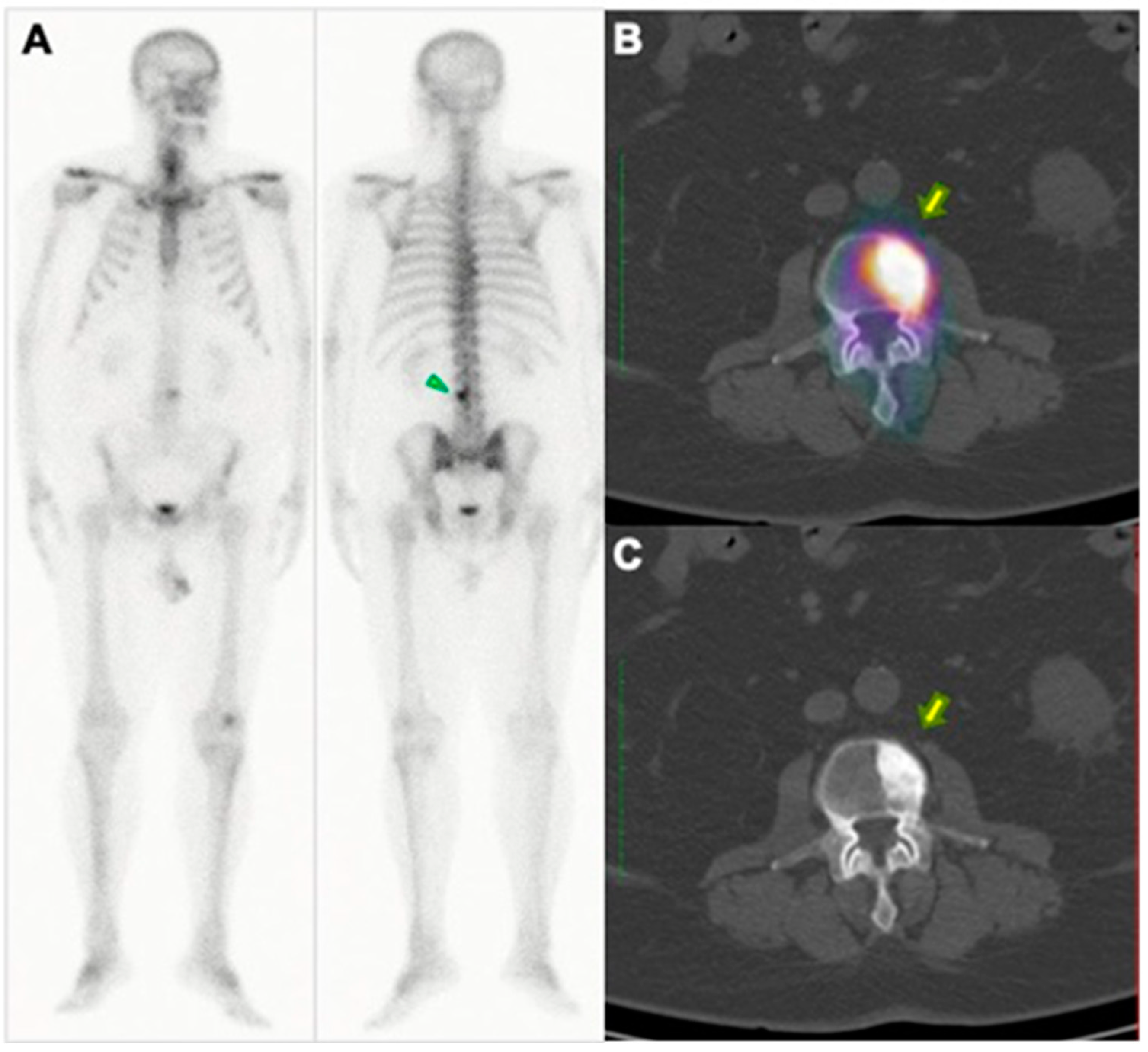 Pharmaceuticals 17 01483 g004