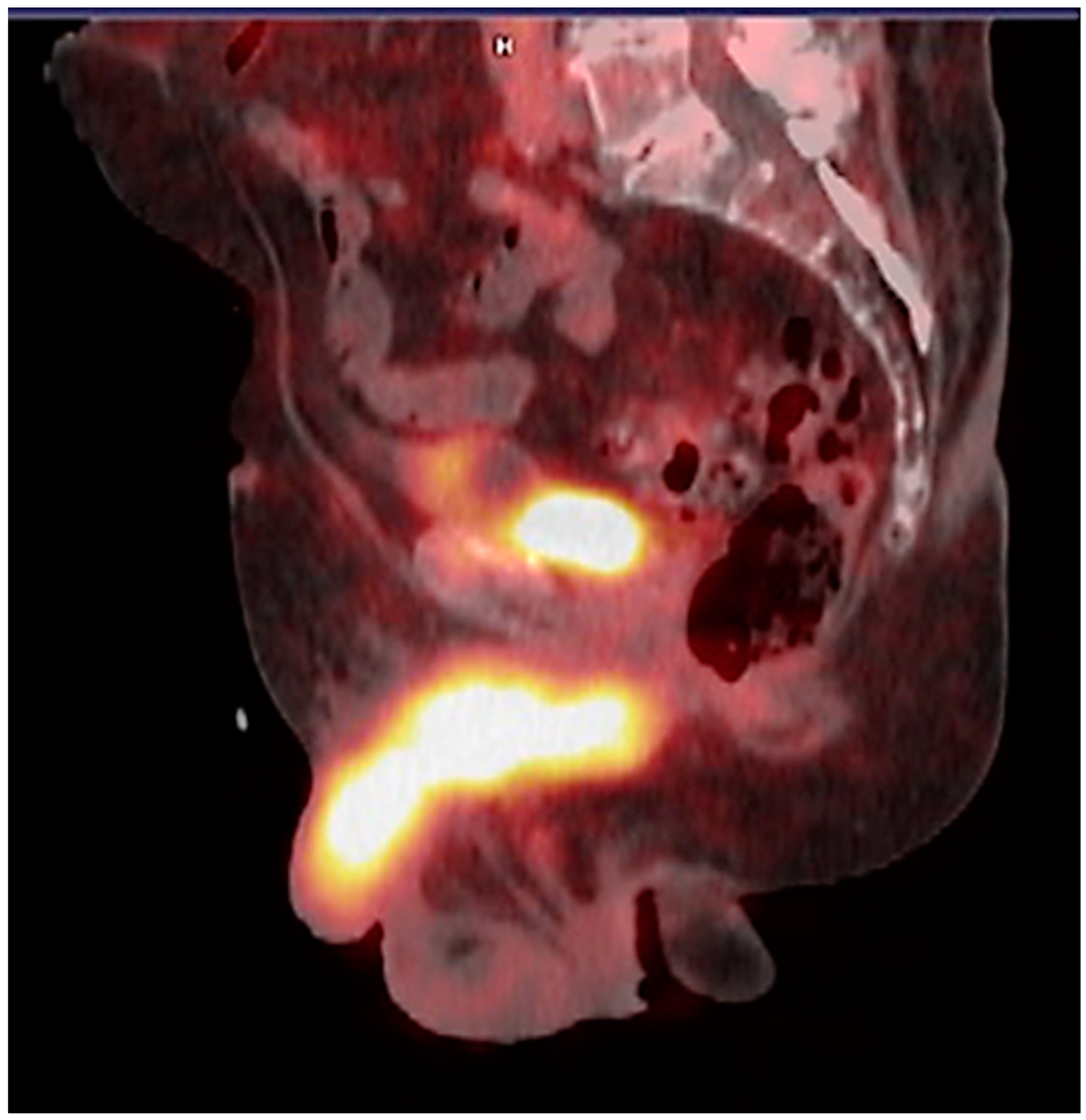 Pharmaceuticals 17 01483 g009