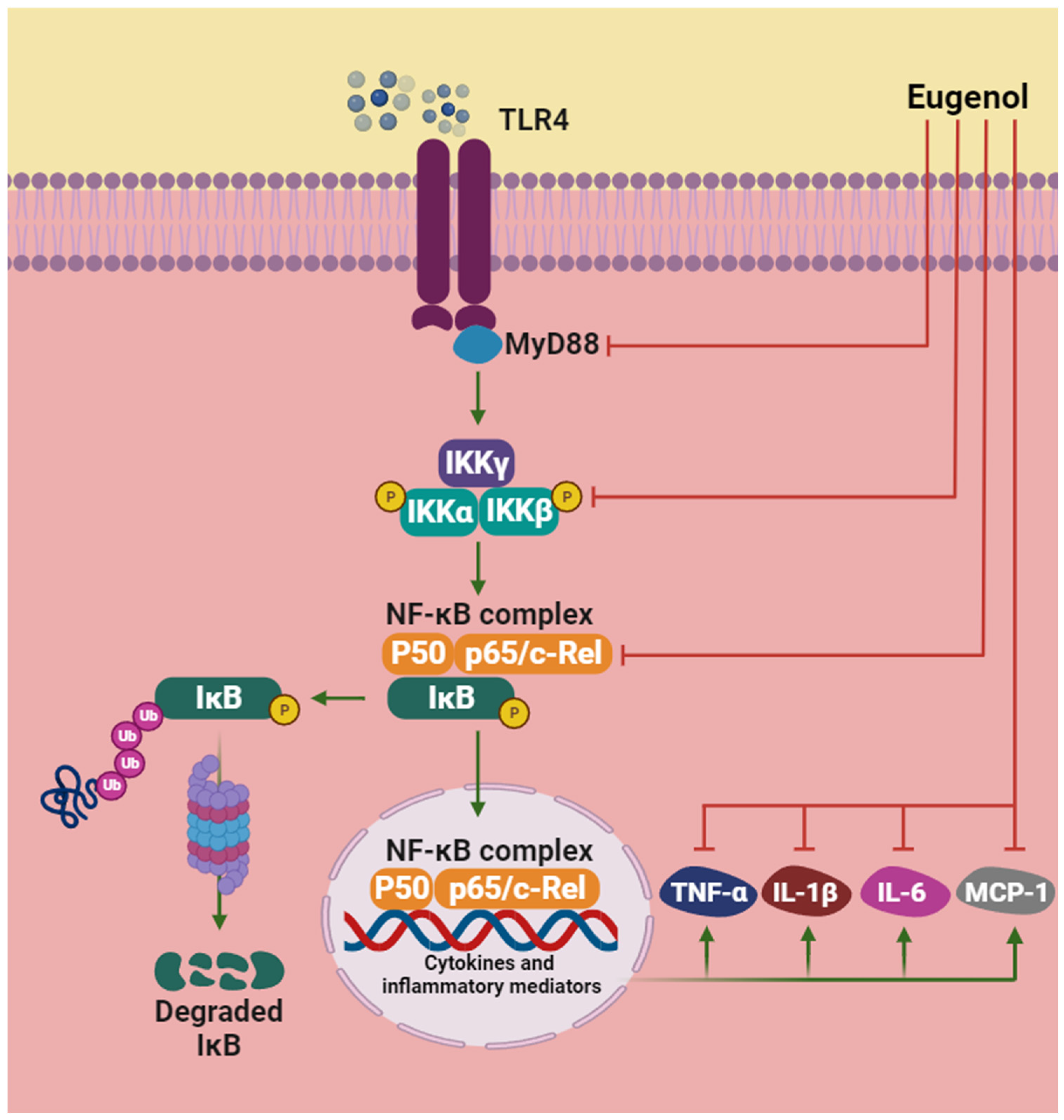 Pharmaceuticals 17 01505 g002