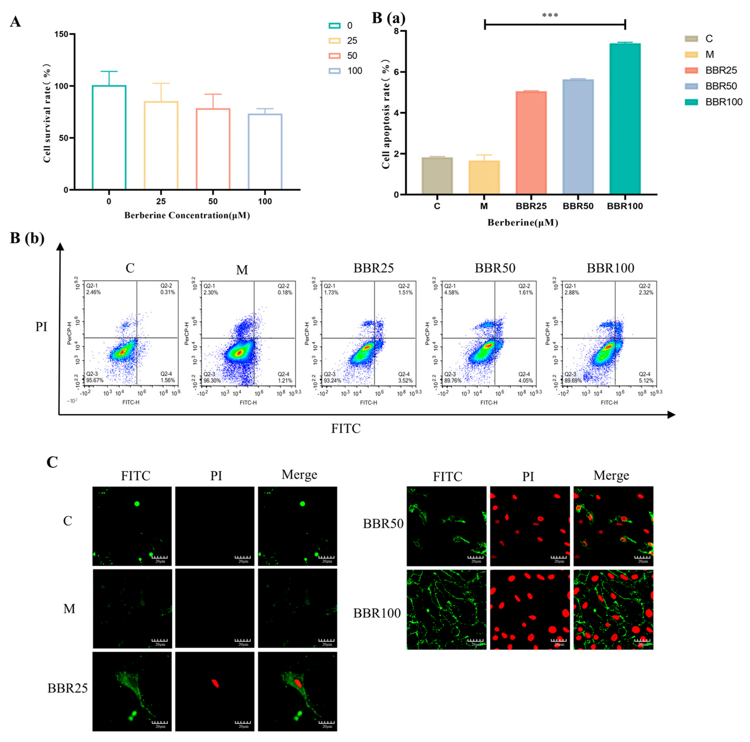 Pharmaceuticals 17 01509 g002