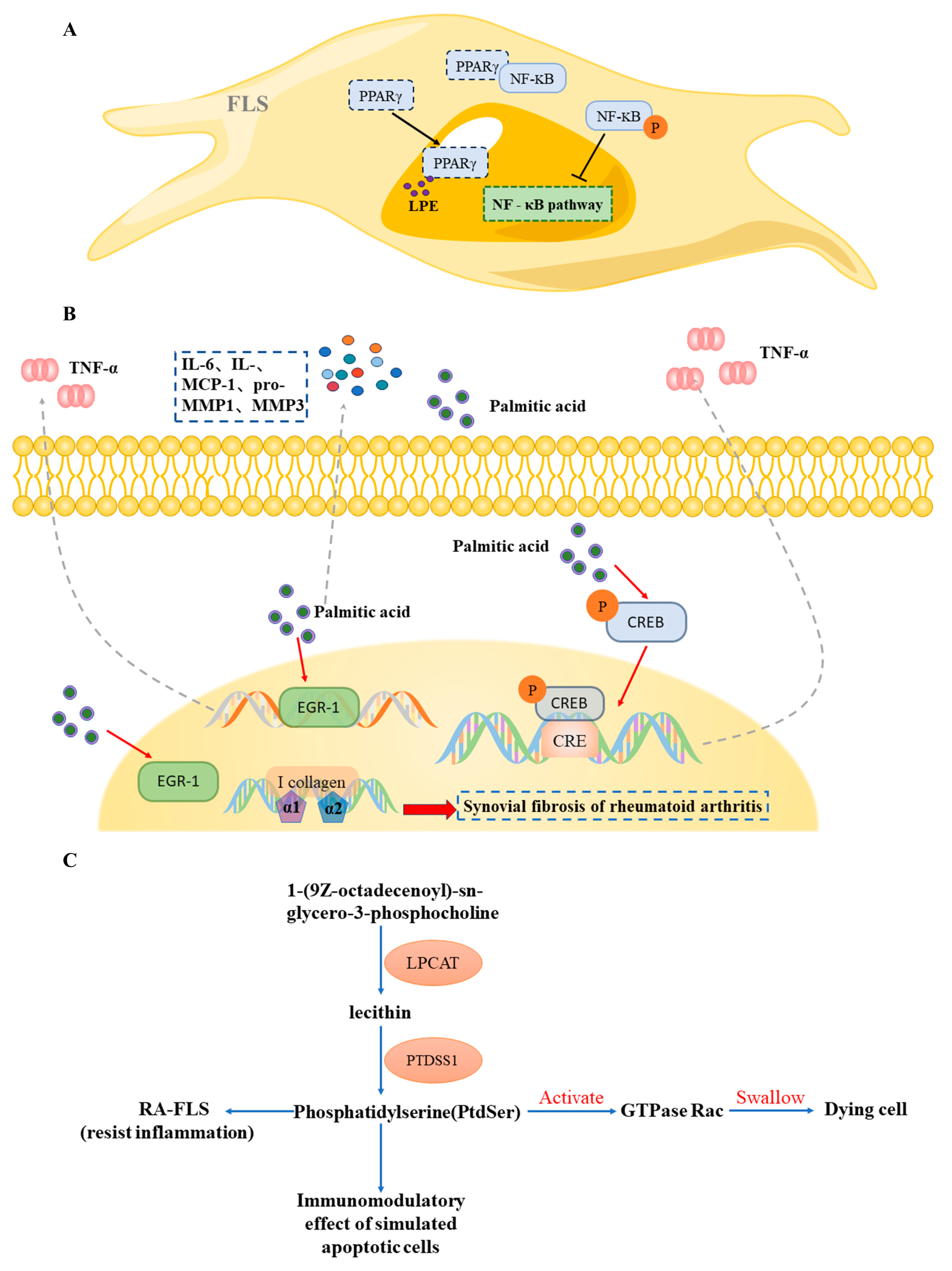 Pharmaceuticals 17 01509 g006