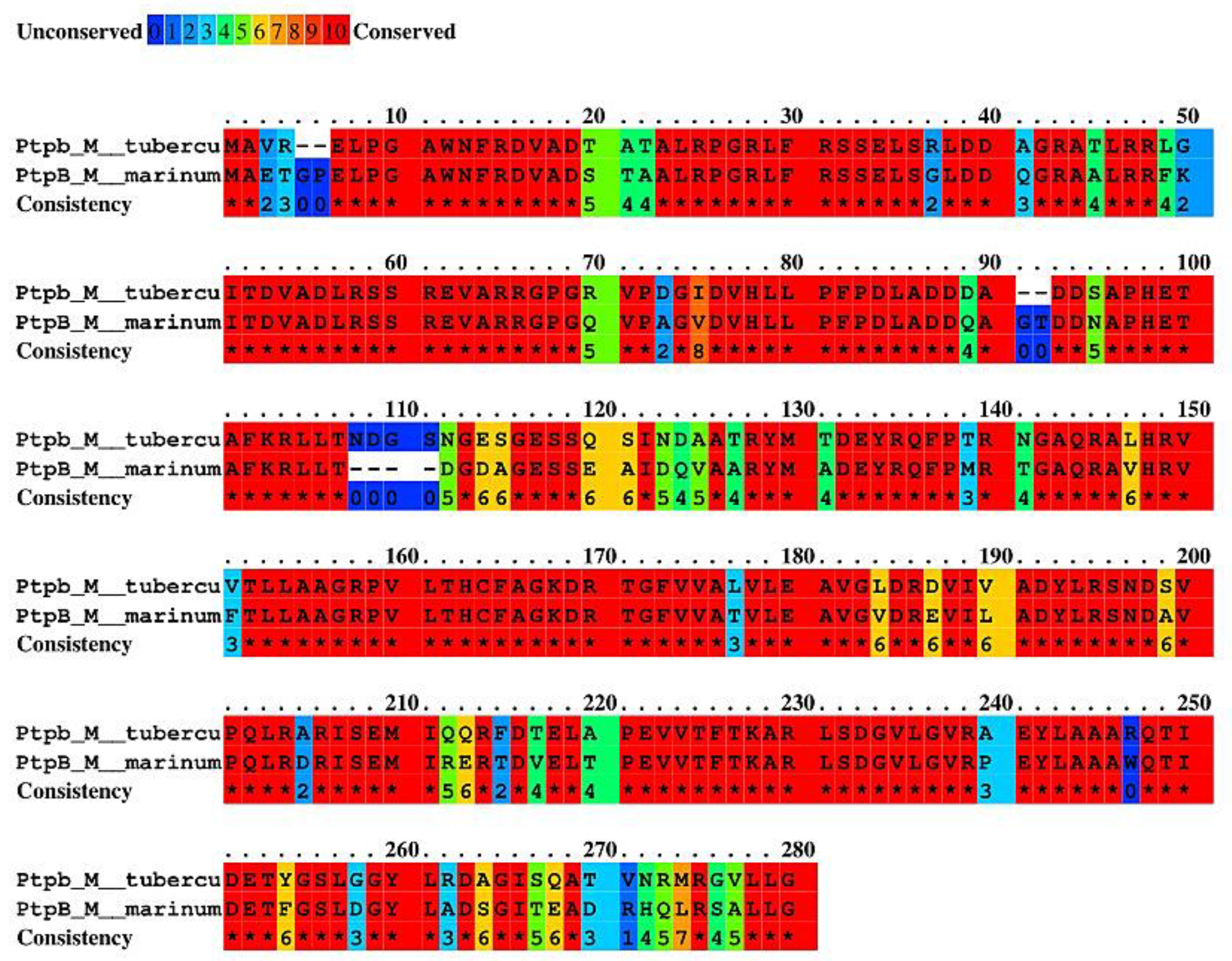 Pharmaceuticals 17 01560 g009