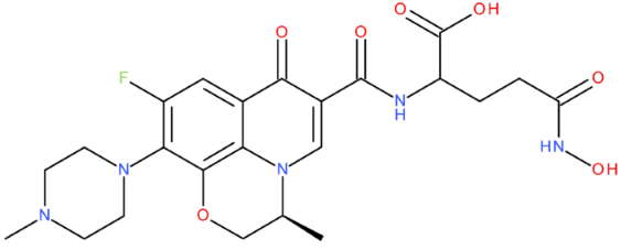 Pharmaceuticals 17 01593 i014