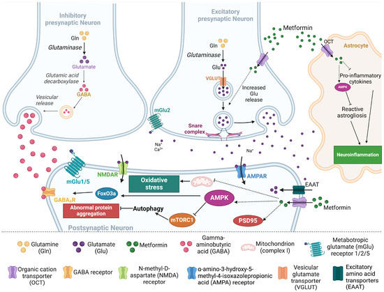 Pharmaceuticals 17 01601 g003