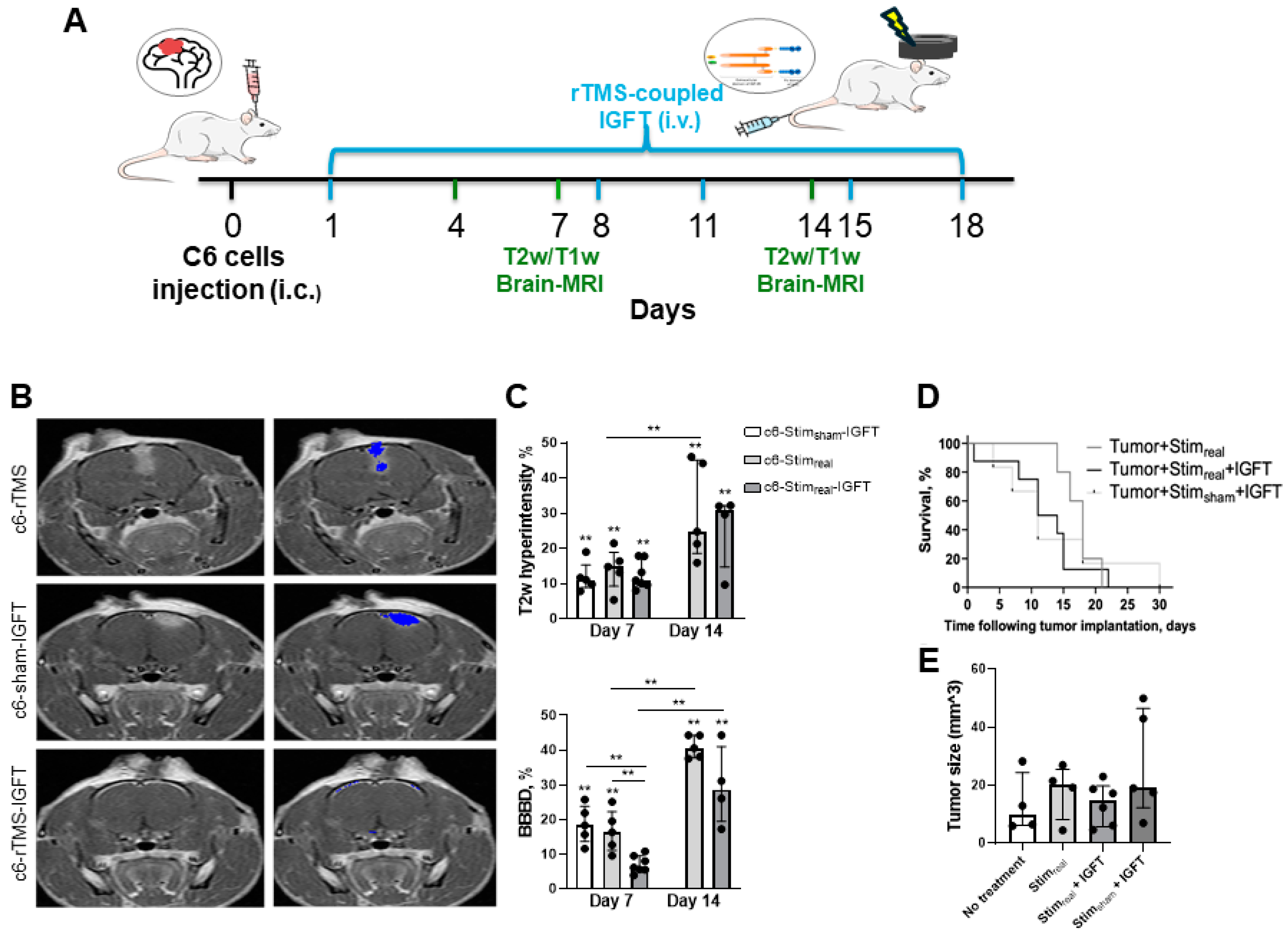 Pharmaceuticals 17 01607 g002