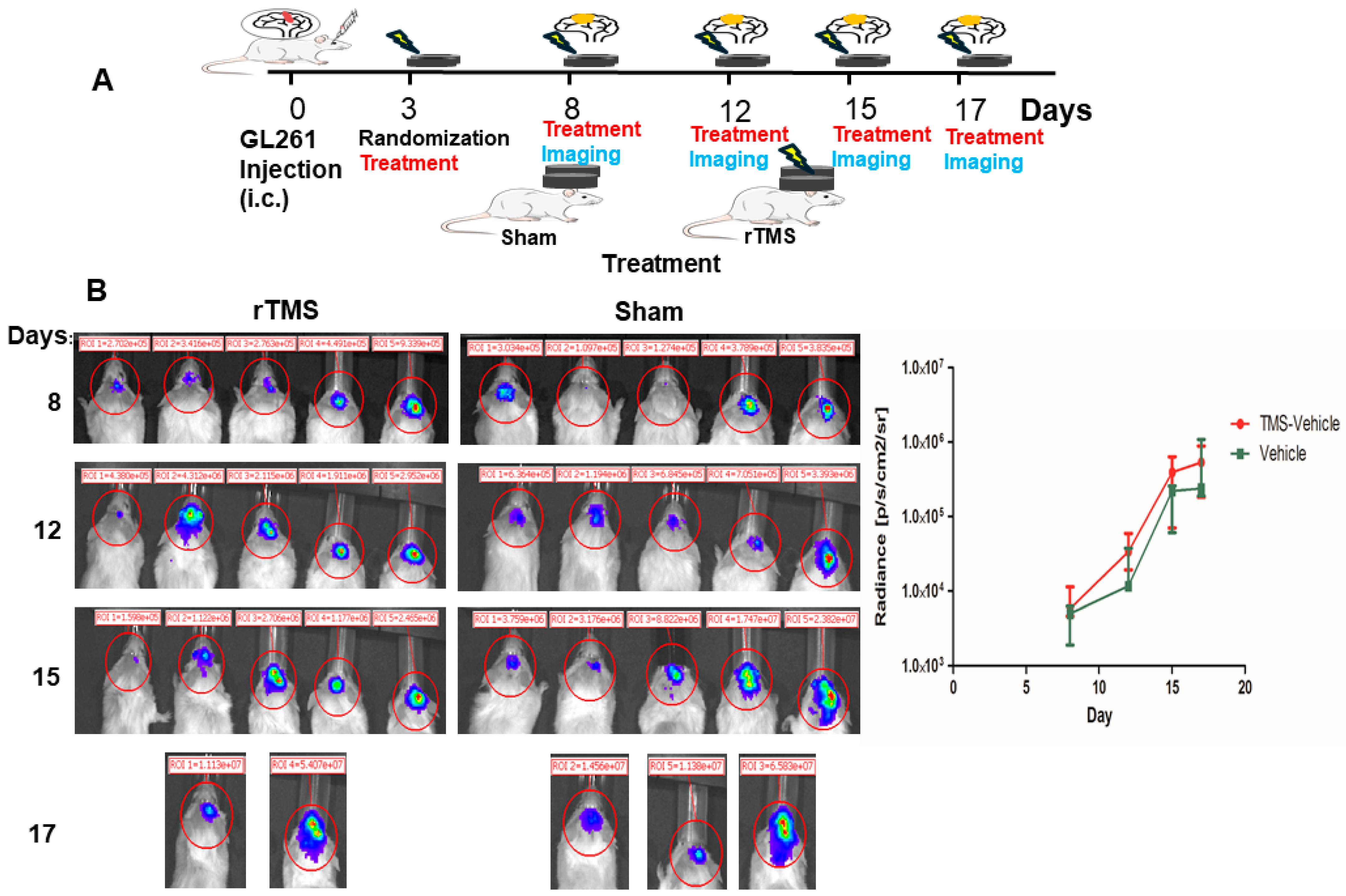 Pharmaceuticals 17 01607 g003