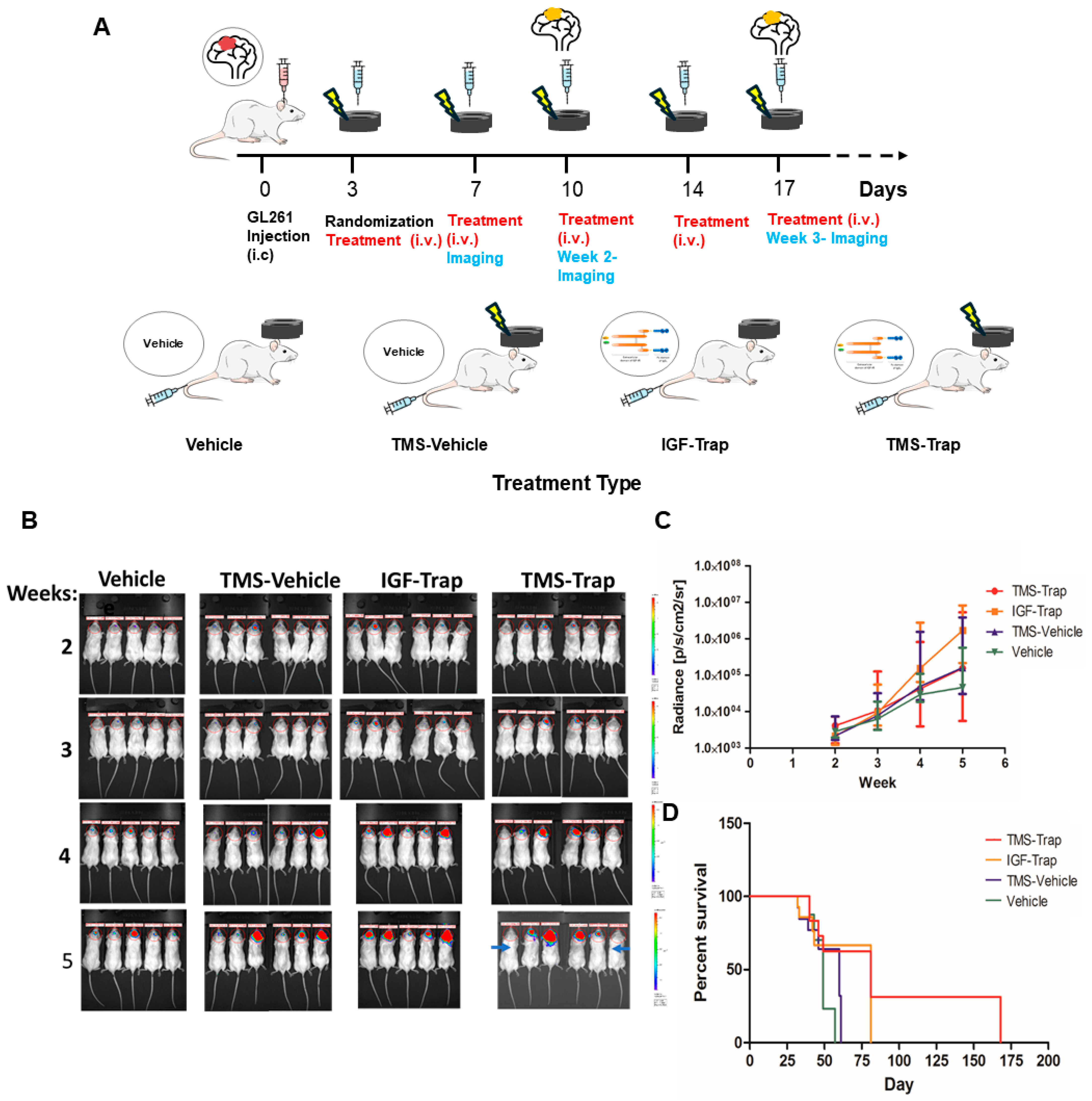 Pharmaceuticals 17 01607 g004