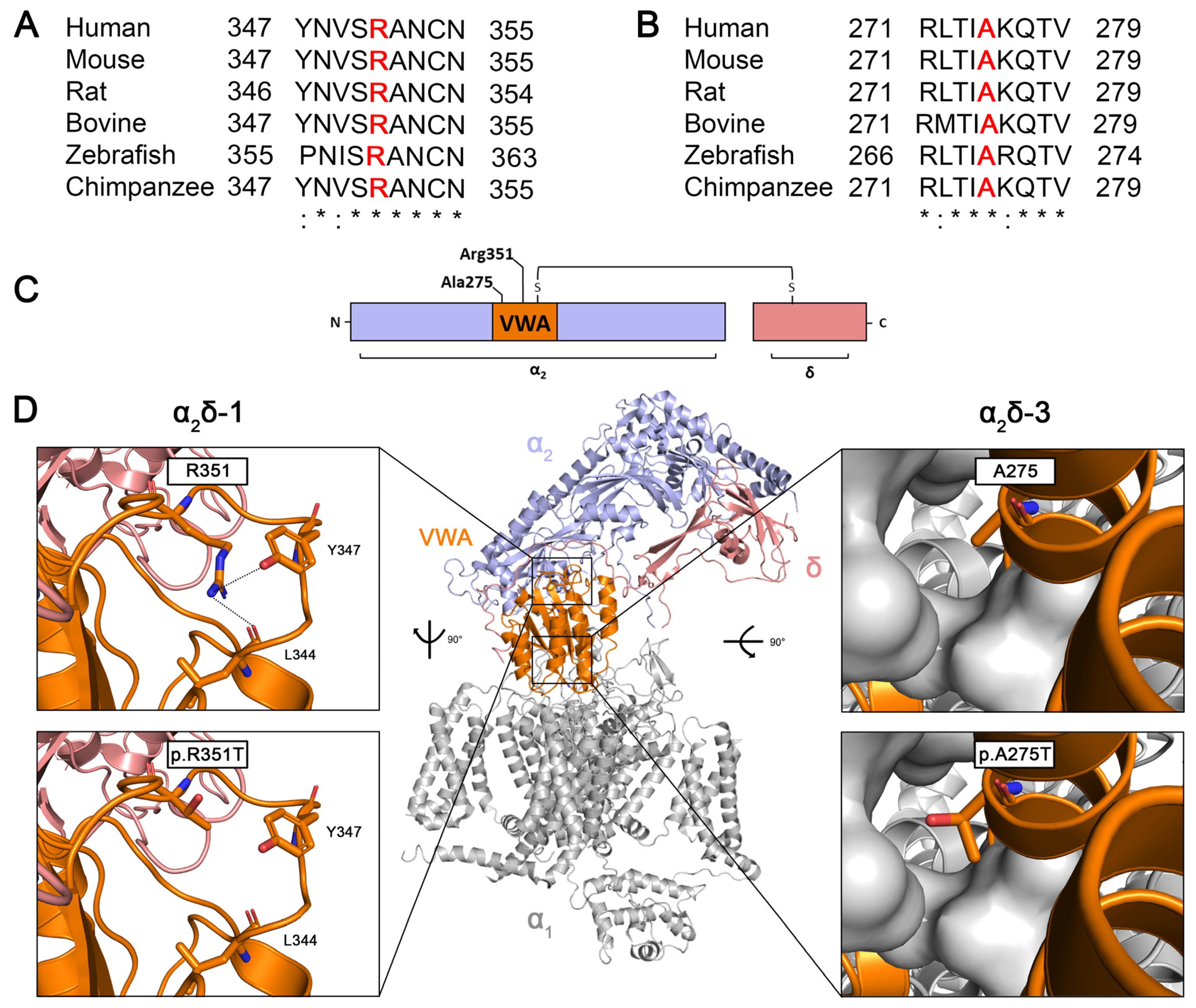 Pharmaceuticals 17 01608 g001