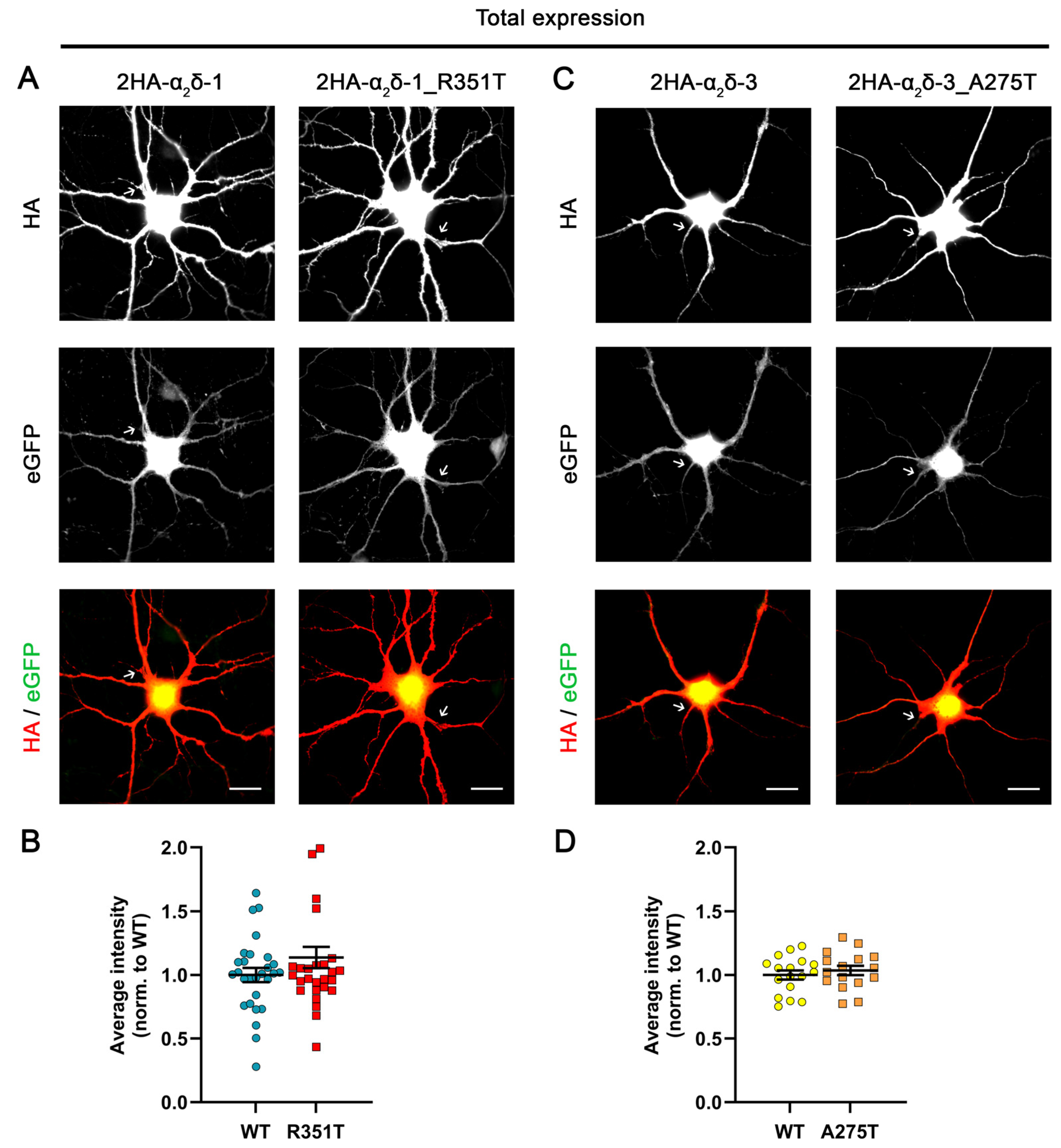Pharmaceuticals 17 01608 g003