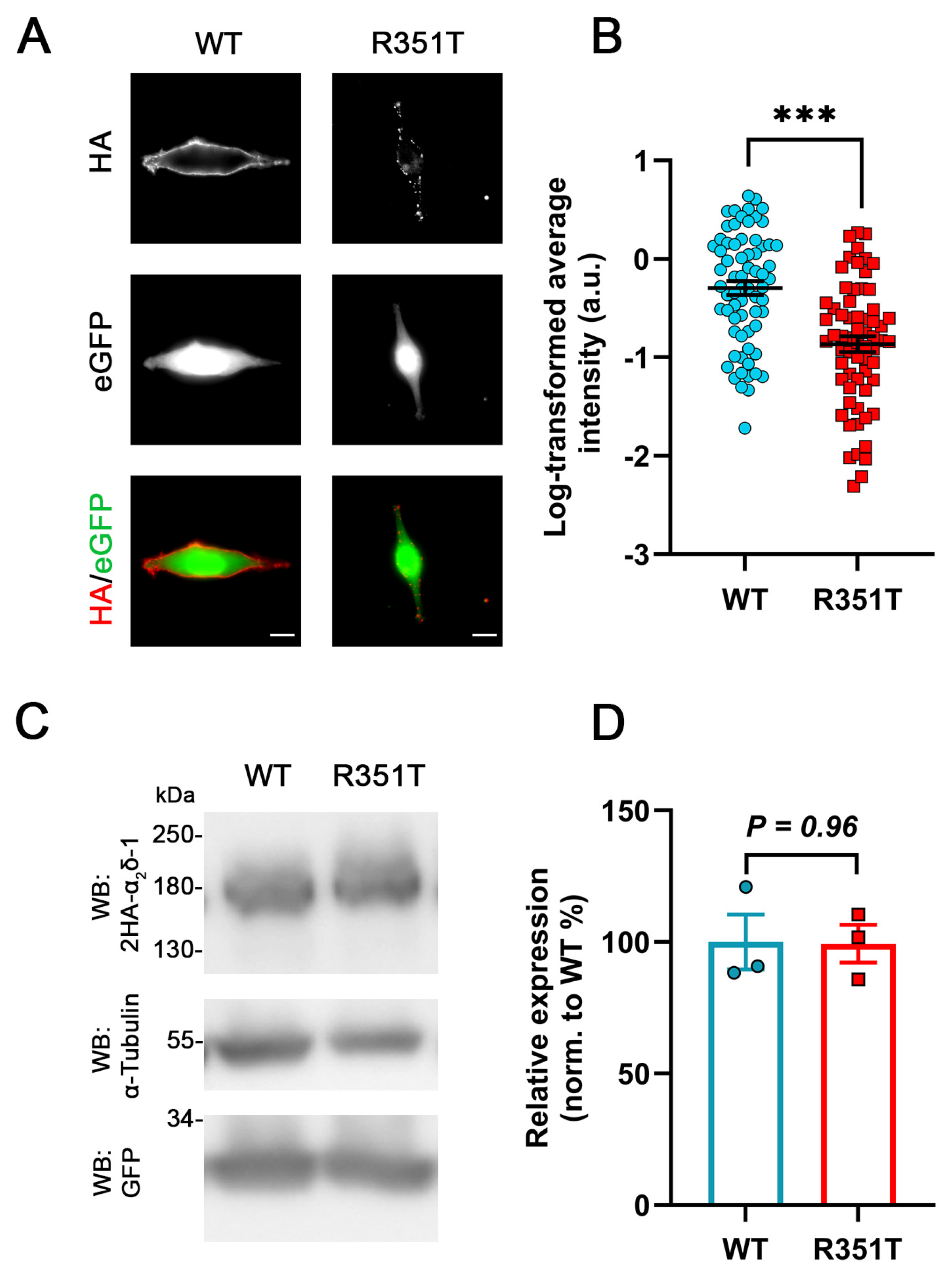 Pharmaceuticals 17 01608 g004