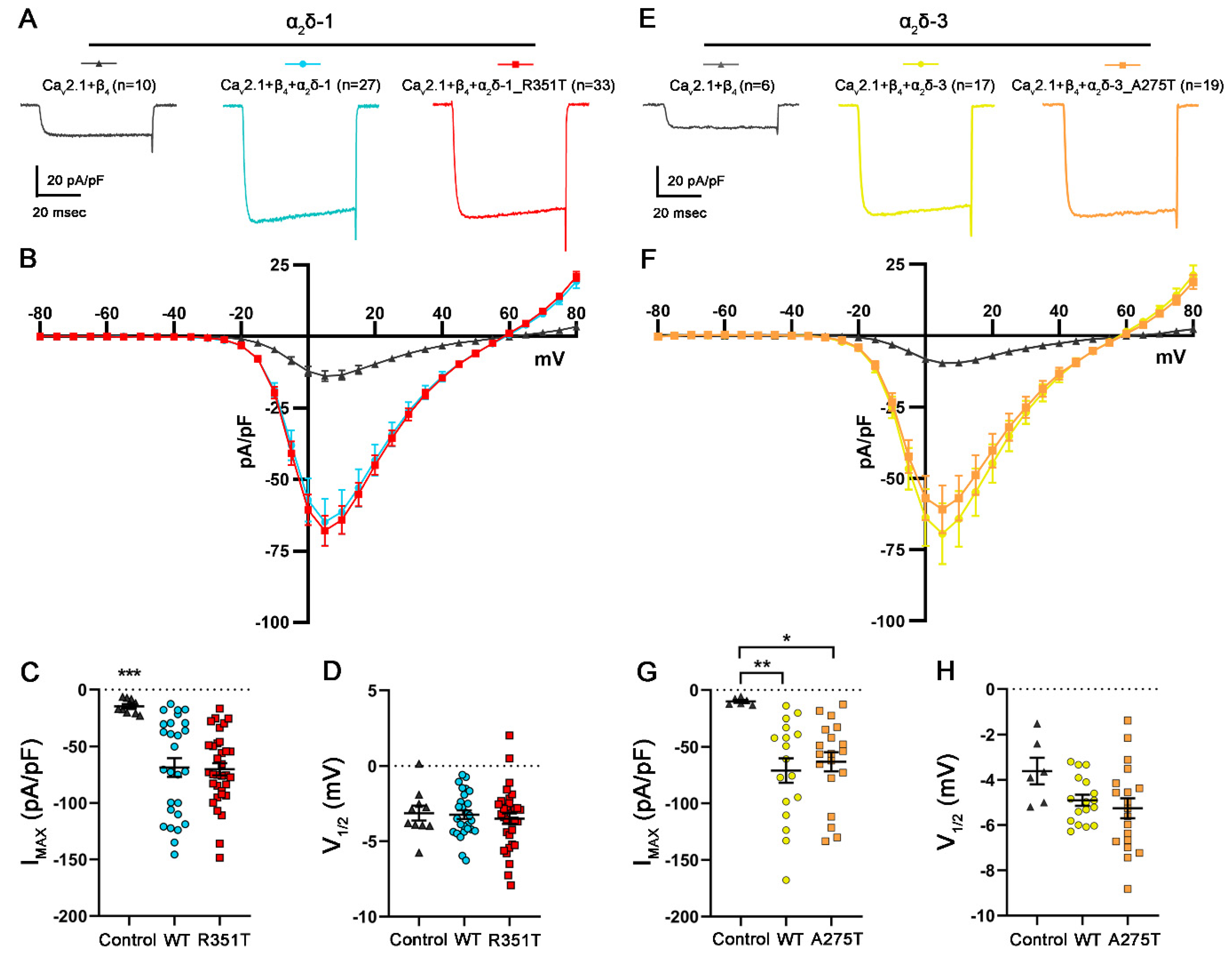 Pharmaceuticals 17 01608 g006