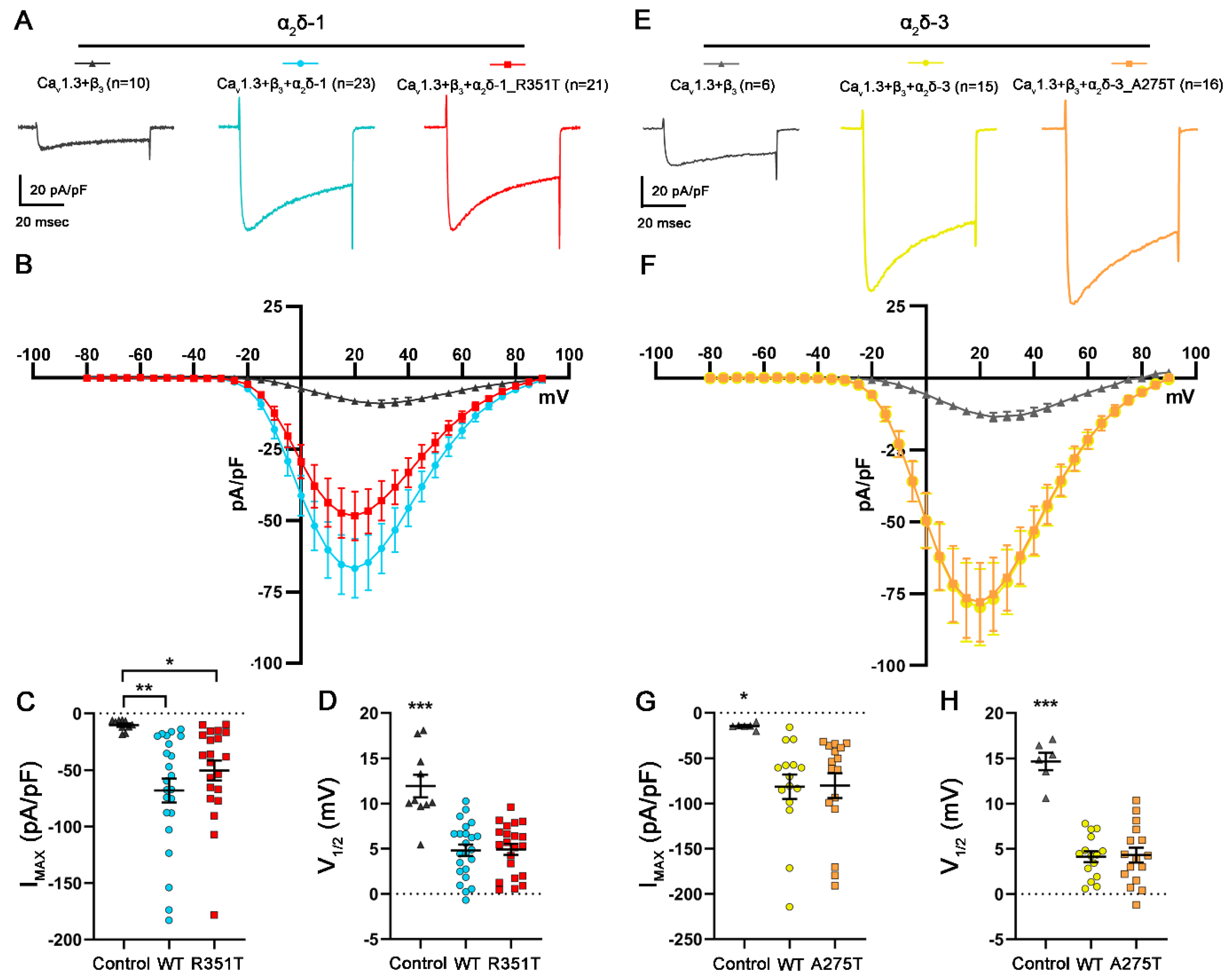 Pharmaceuticals 17 01608 g007